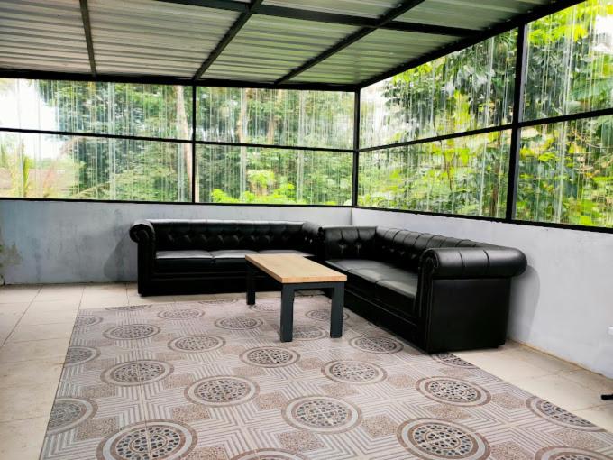 Family Room photo 3