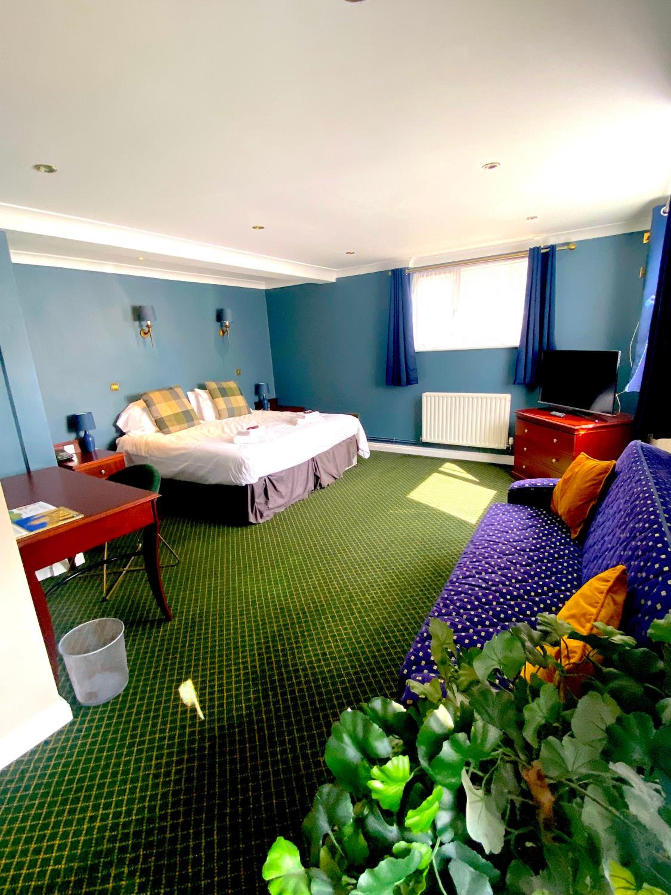 Junior Suite photo 1