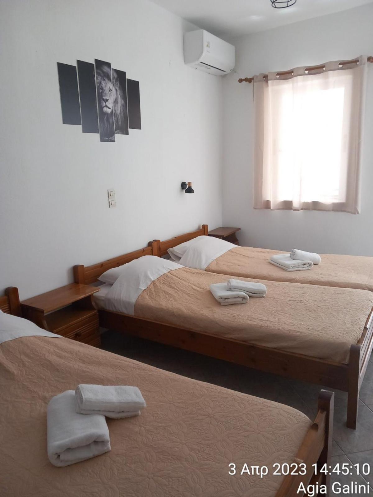 Studio (3 Adults) - Three Single Beds - Photo 18