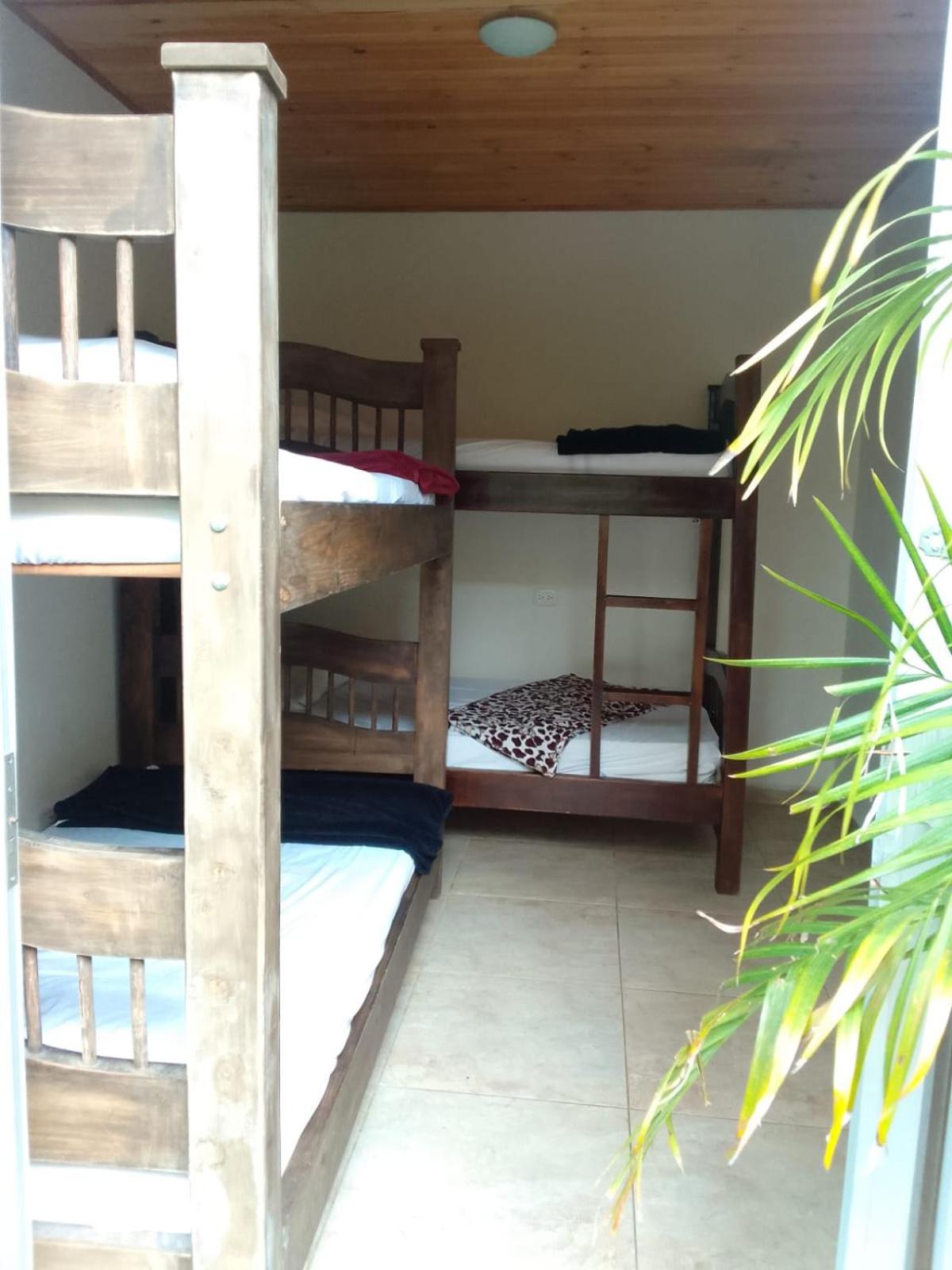 Bed In 4-Bed Mixed Dormitory Room photo 1