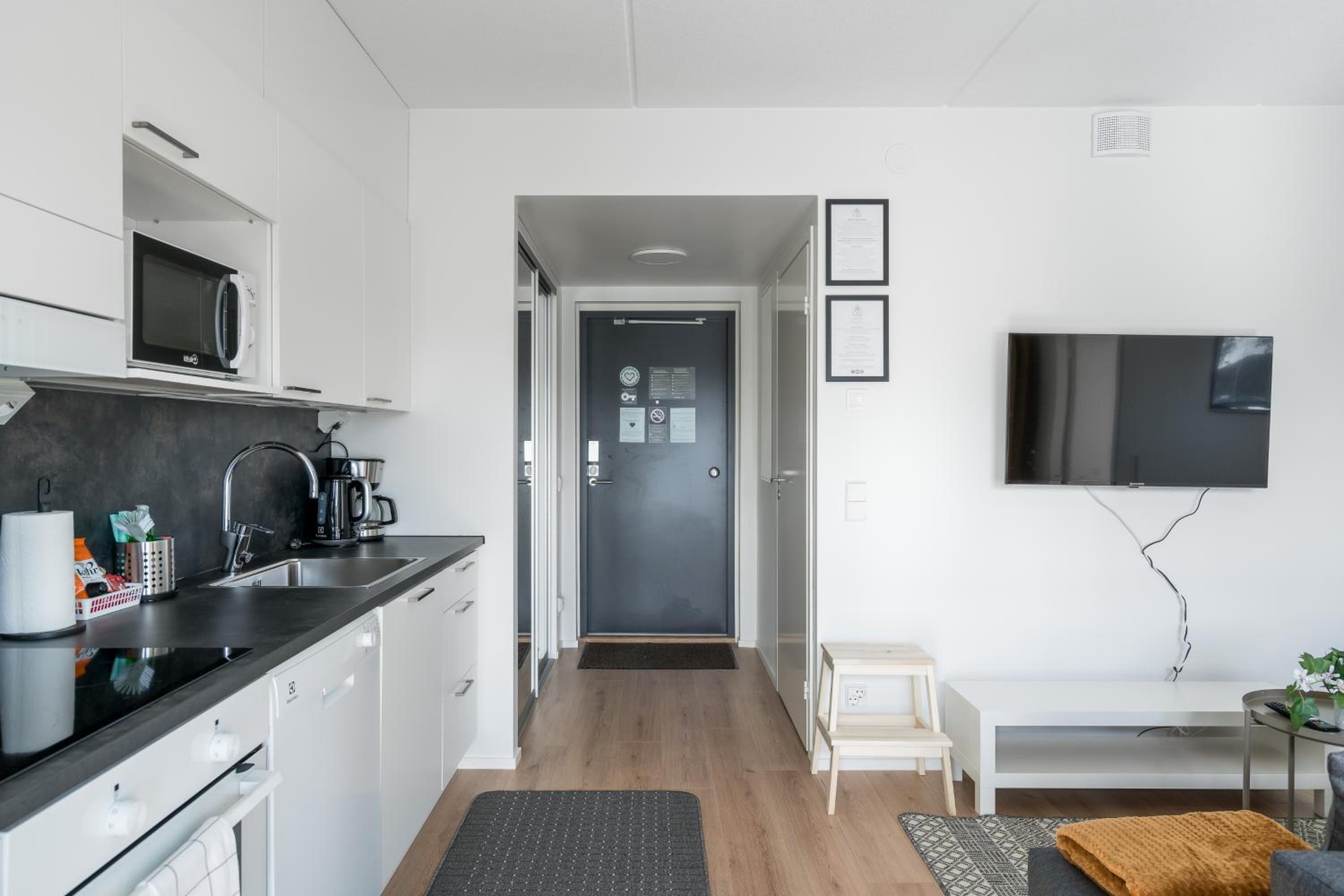 One-Bedroom Apartment photo 3