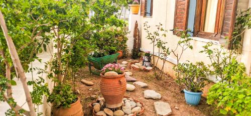 Studio with Garden View photo 3