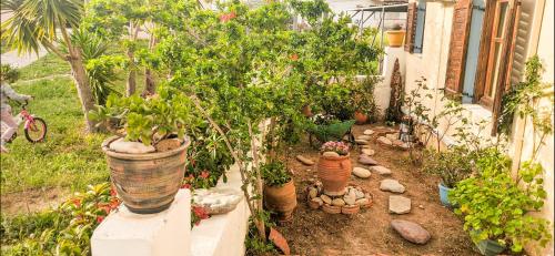 Studio with Garden View photo 2