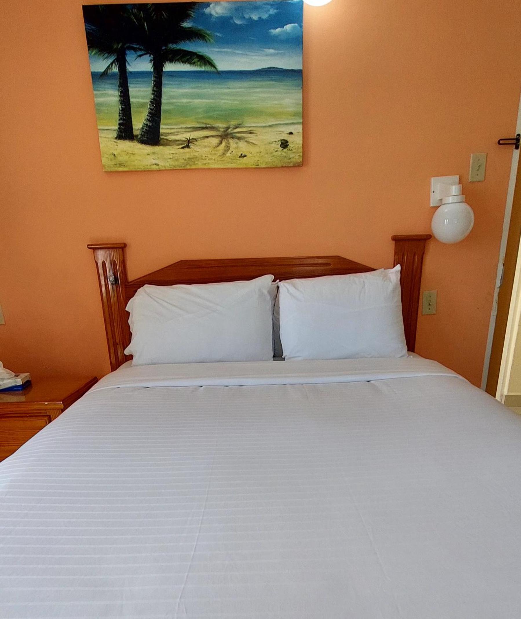 Bed & Sleeping Area