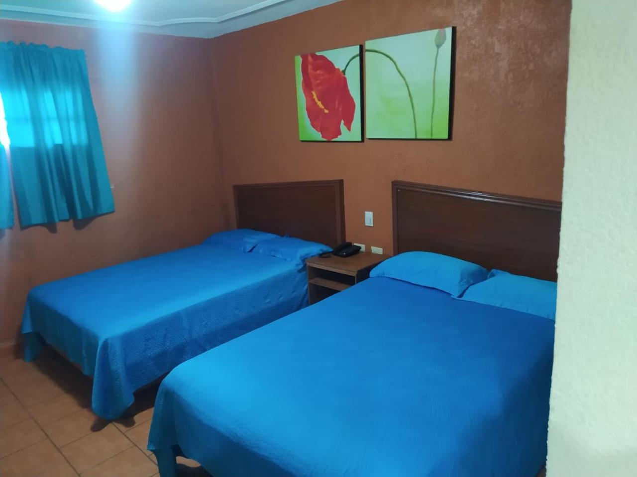 Twin Room photo 1
