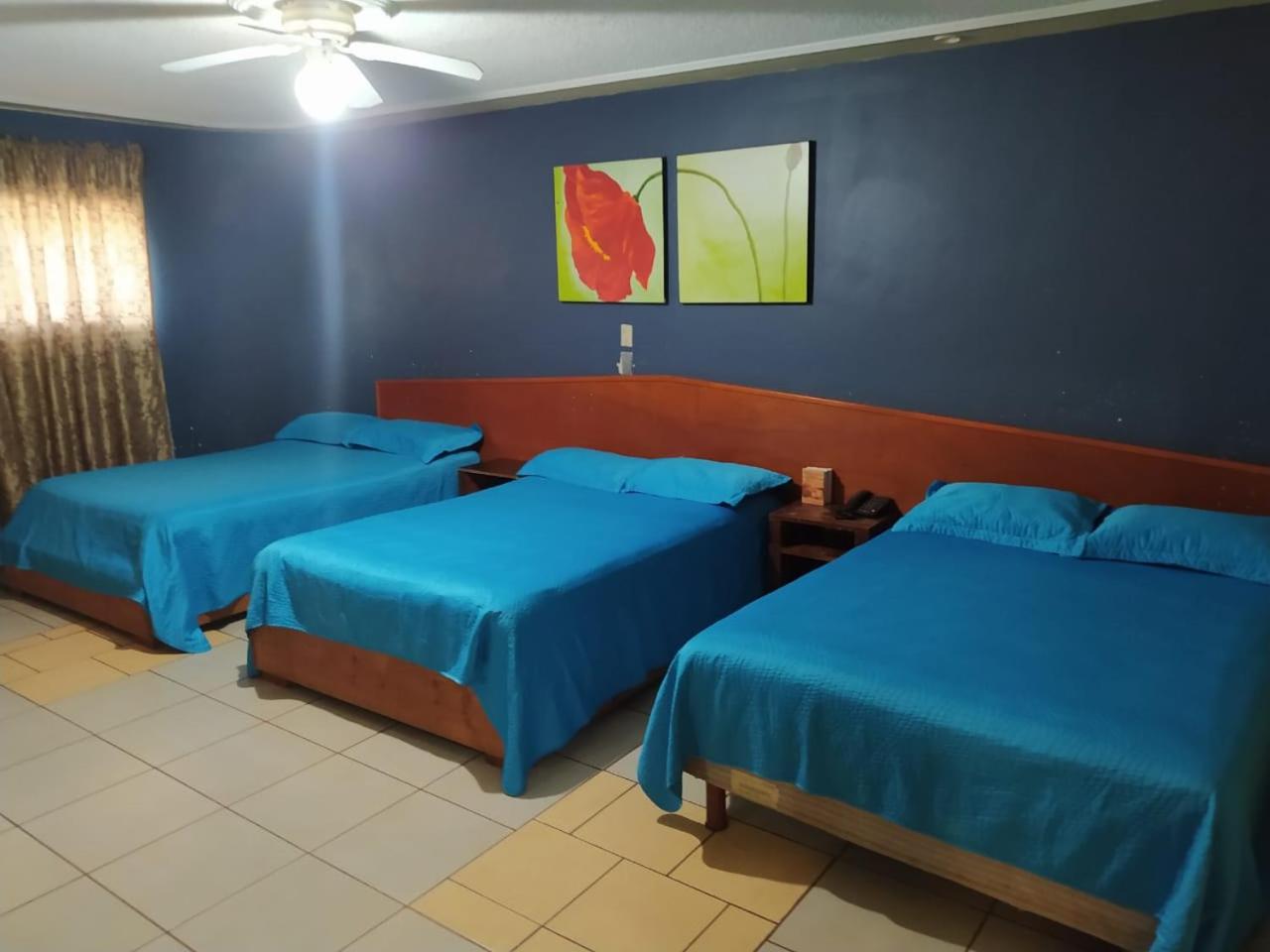 Triple Room photo 1