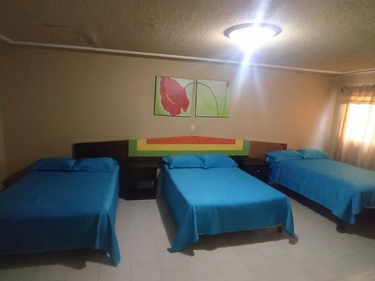 Triple Room photo 2