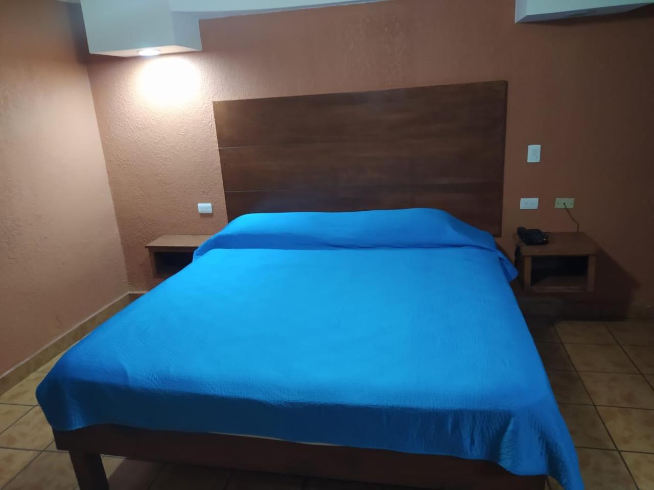 Large Single Room photo 1