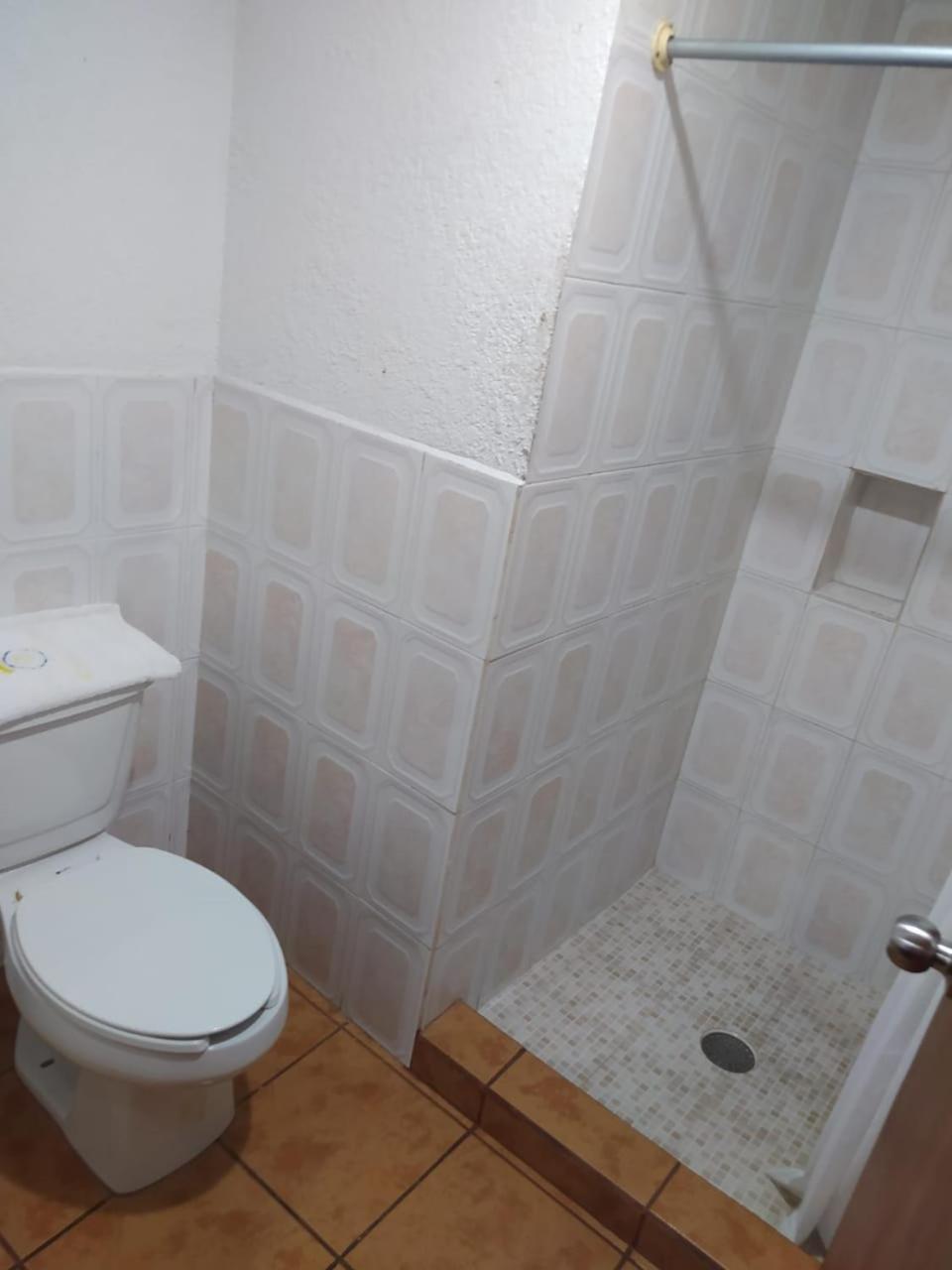 Large Single Room photo 3