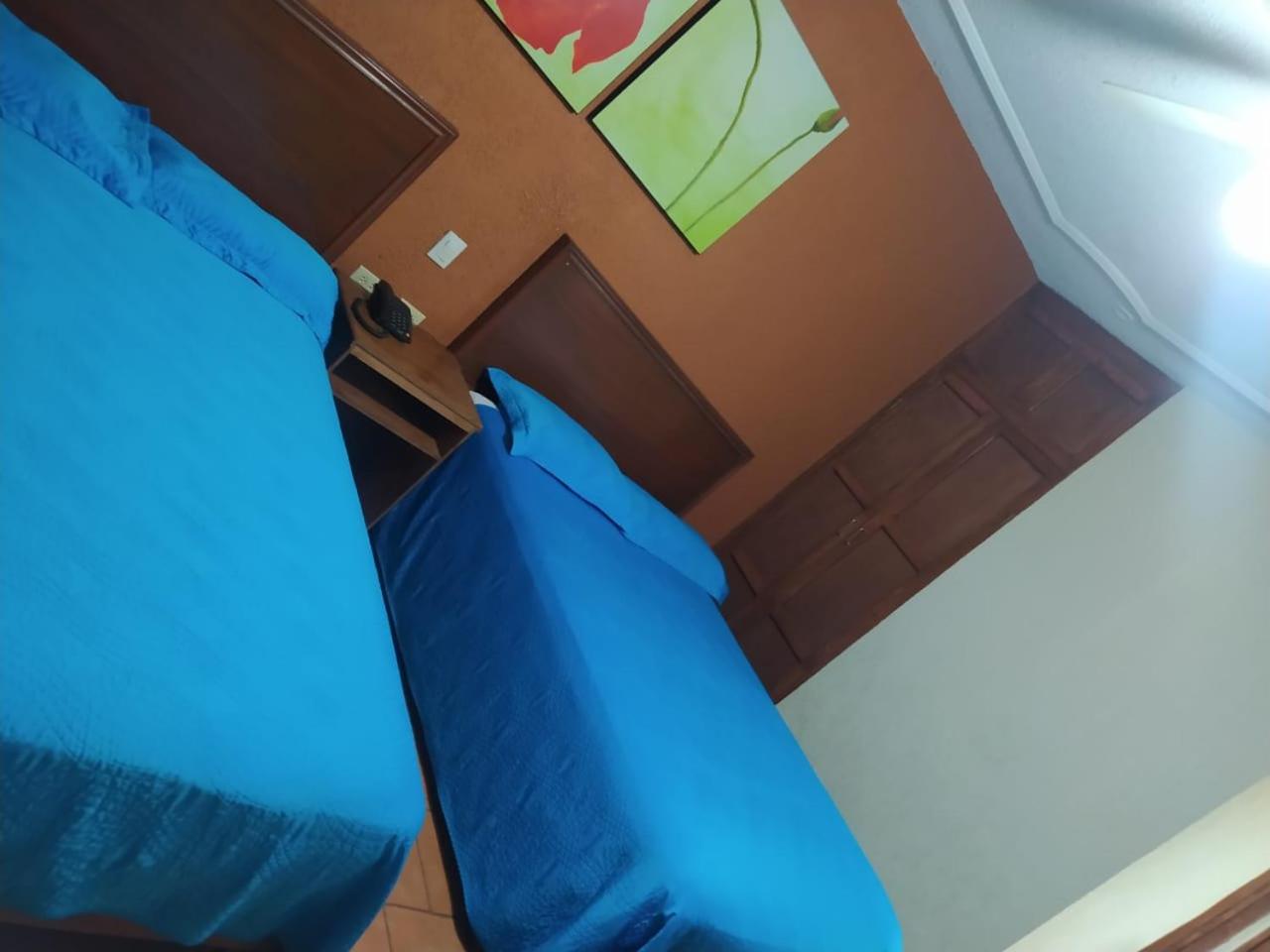 Twin Room photo 3