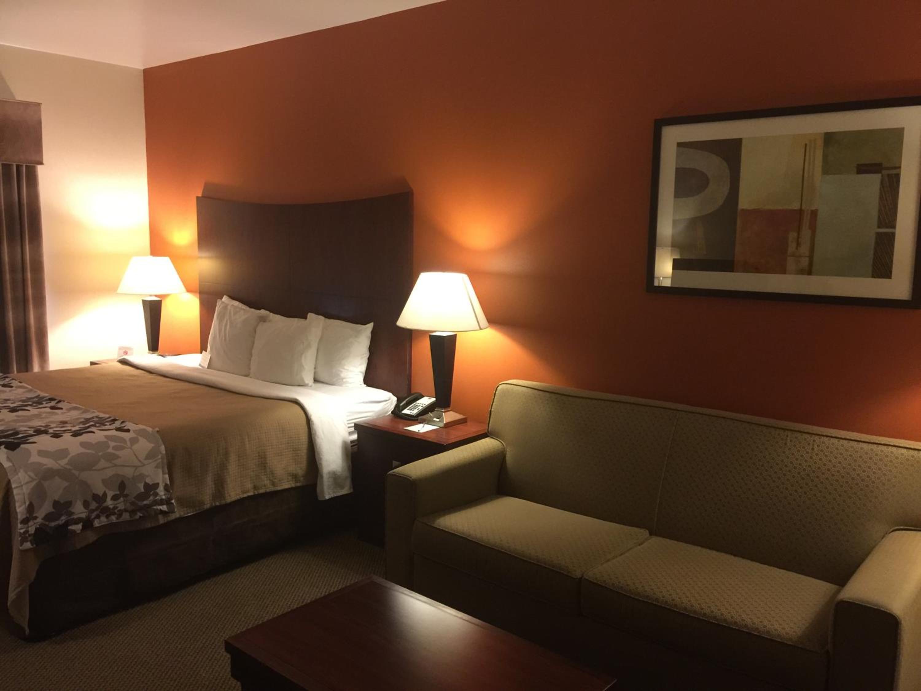 King Suite - Non-Smoking - Photo 5