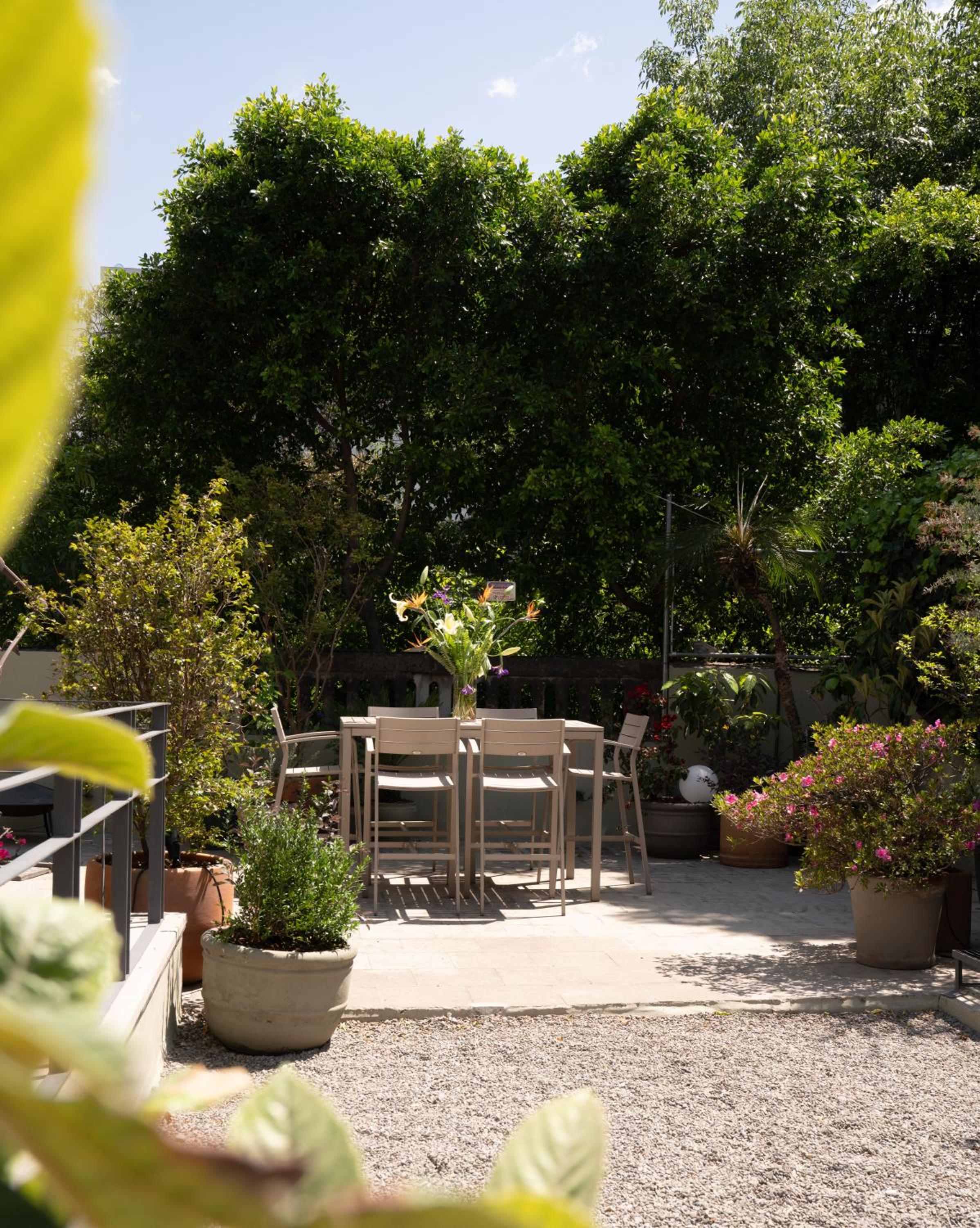 Suite with Terrace - Photo 6