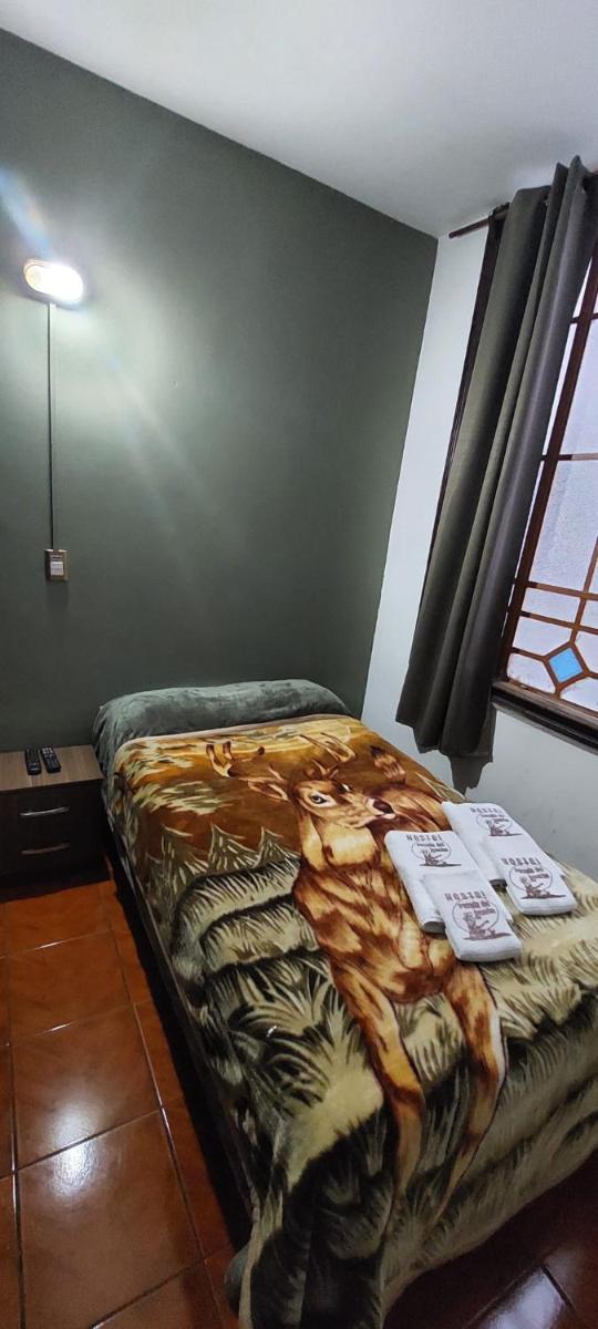 Single Room photo 1