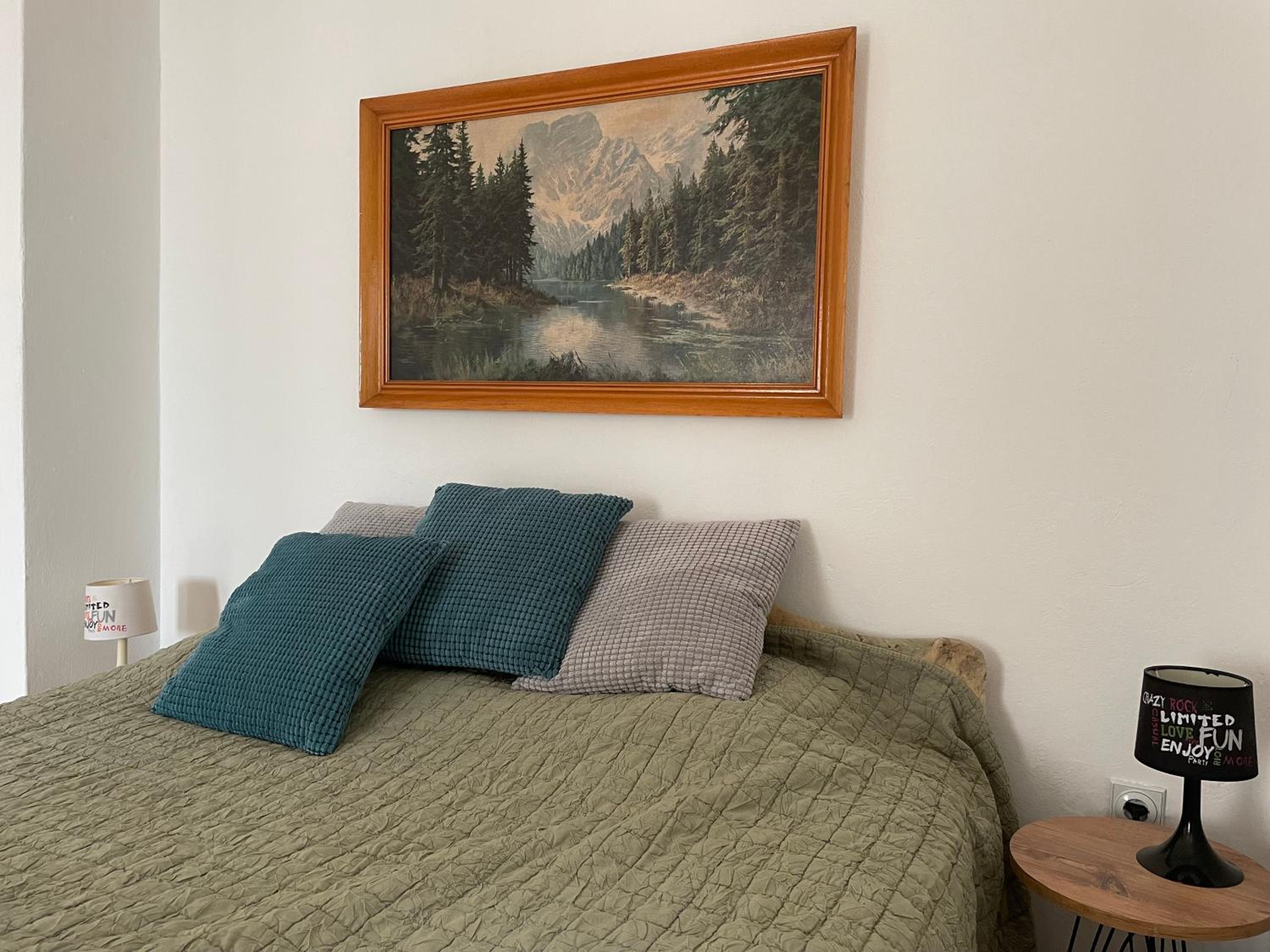 One-Bedroom Apartment photo 3