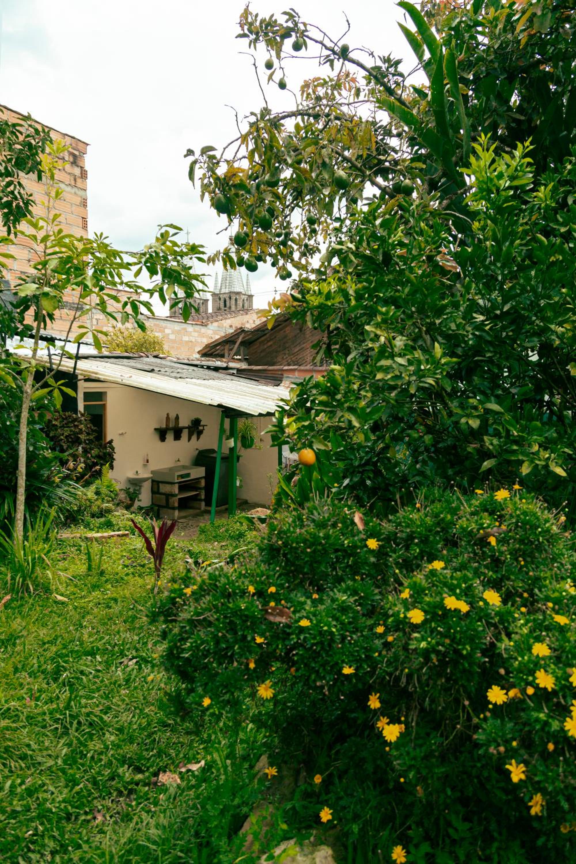 Double Room with Private Bathroom photo 3
