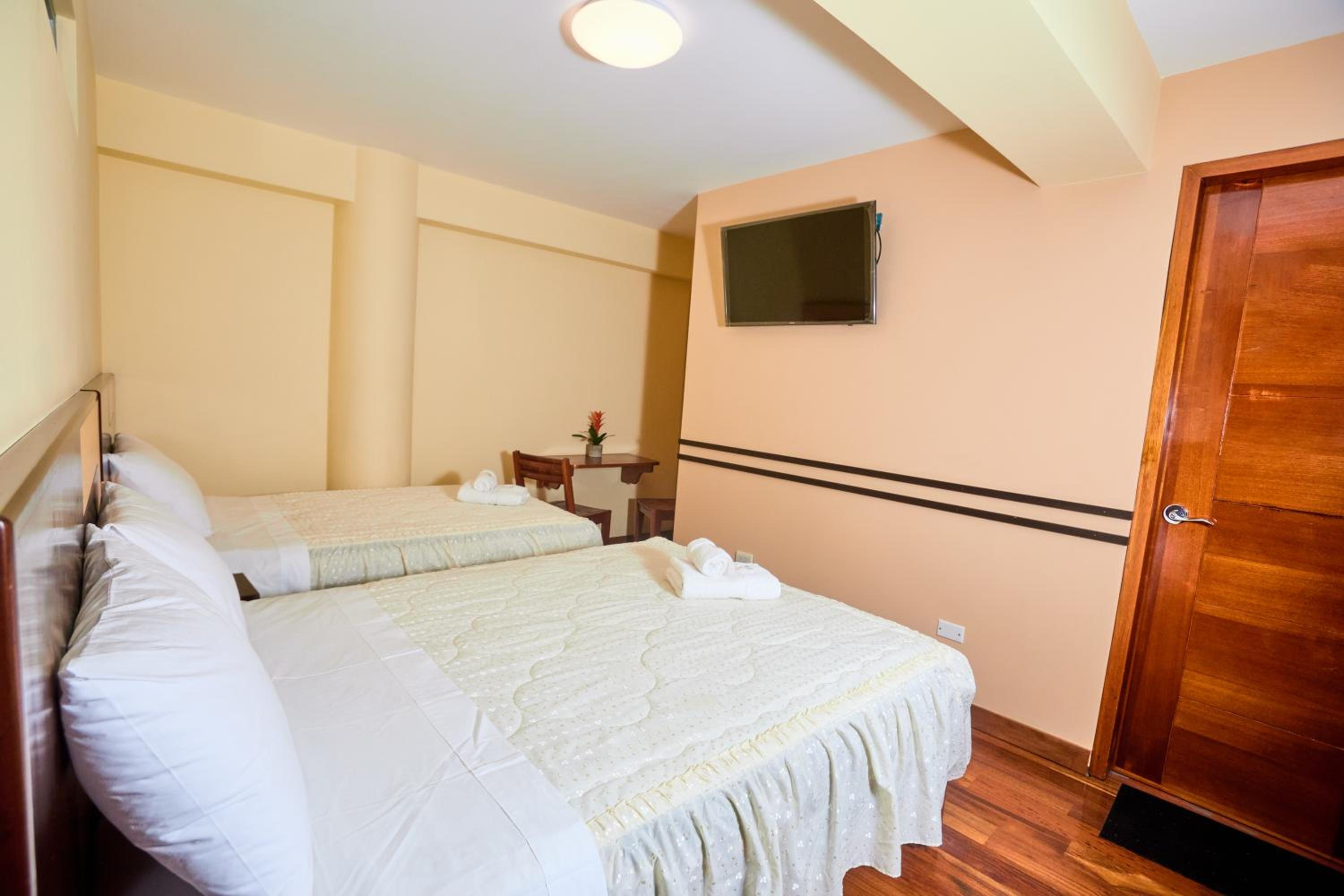 Twin Room photo 2
