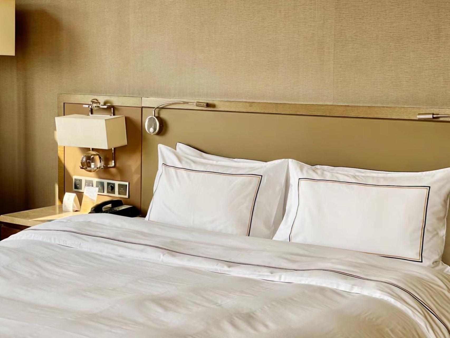 Premium Room photo 3