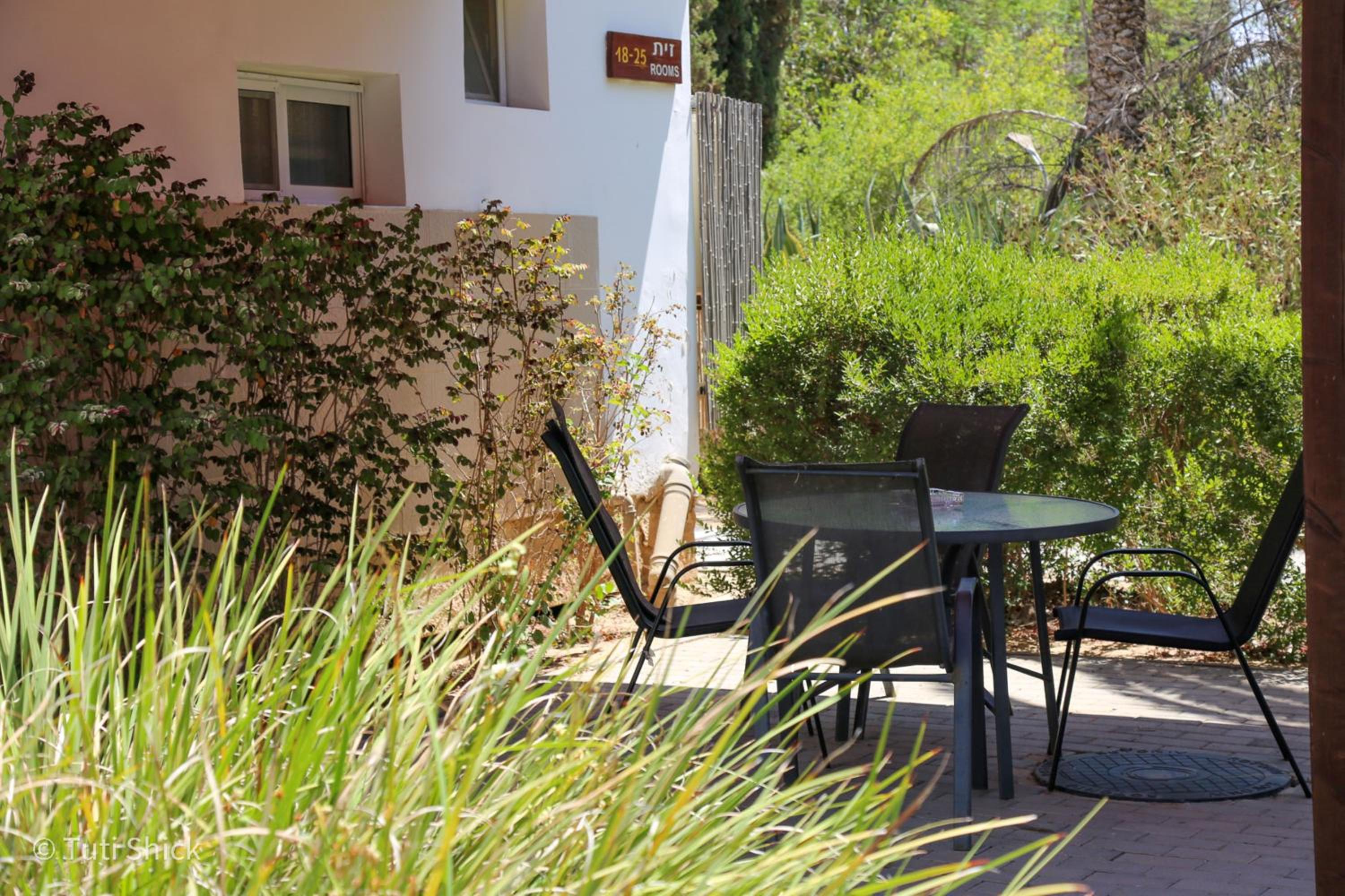 Grand Family Room with Terrace - Photo 9