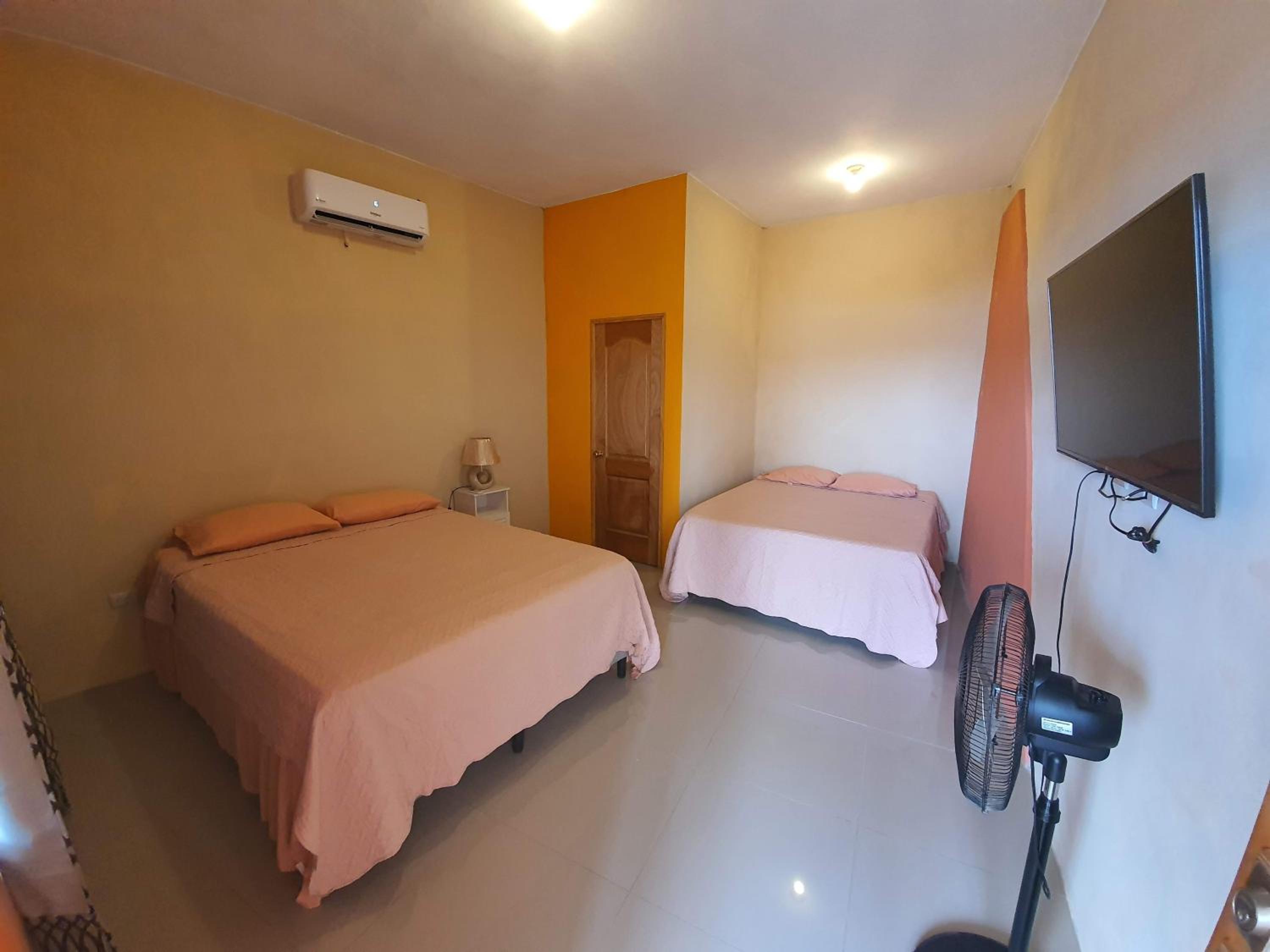Twin Room photo 1