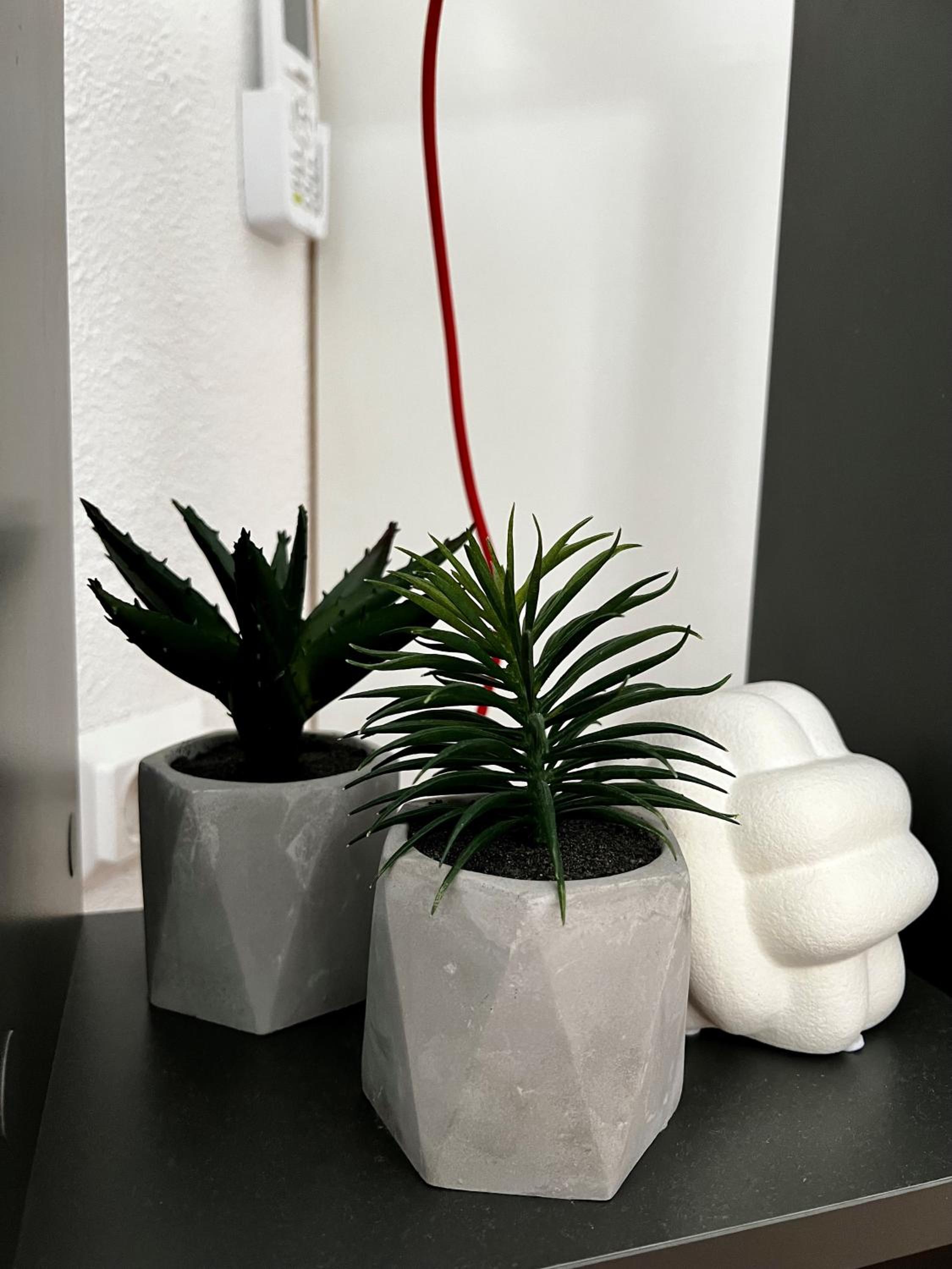 Apartment - Photo 33
