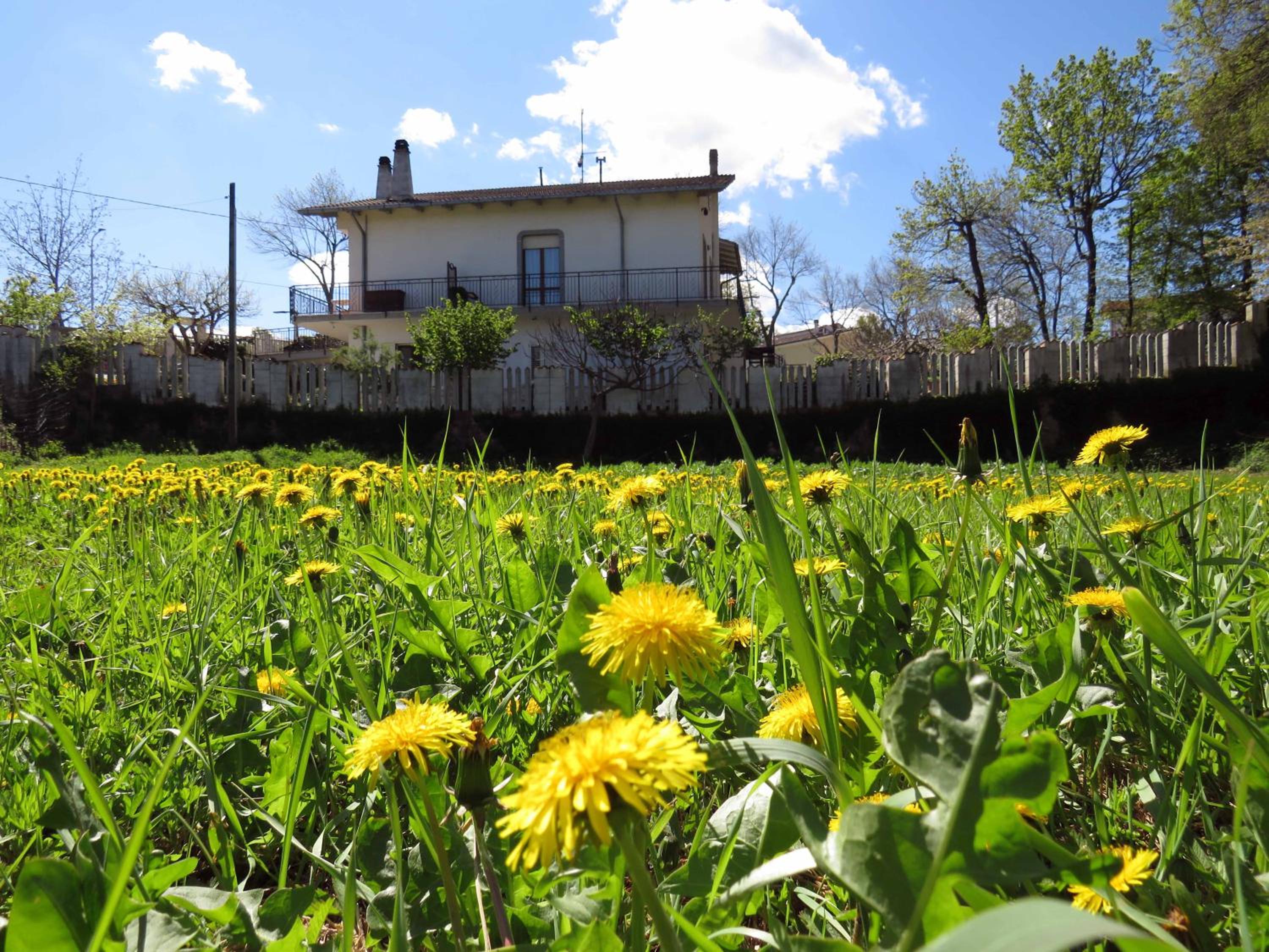 Vacation Home photo 3
