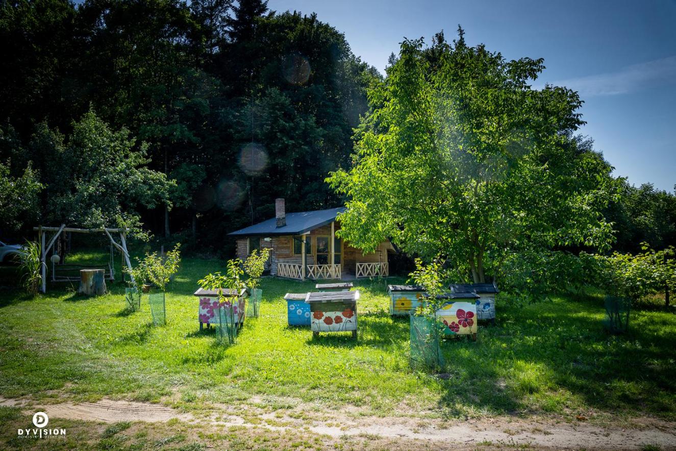 Chalet photo 1