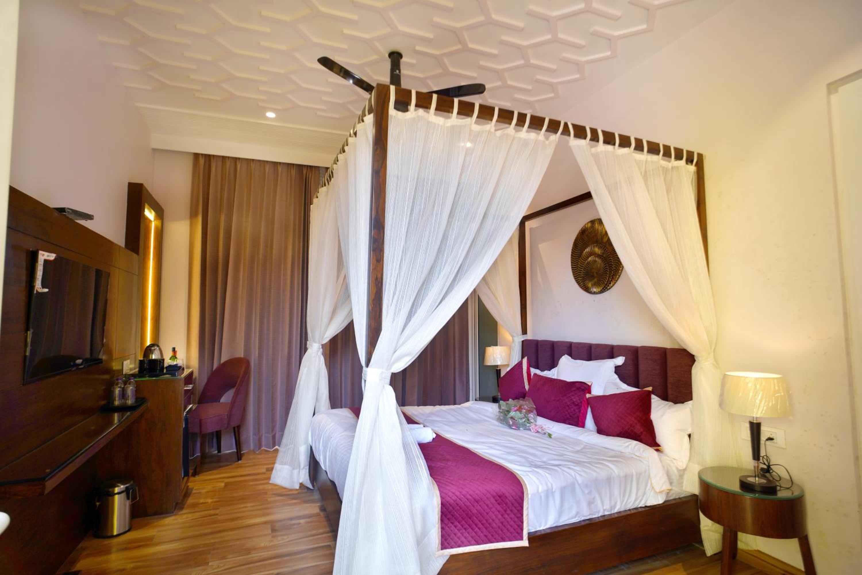 Suite - Photo 3