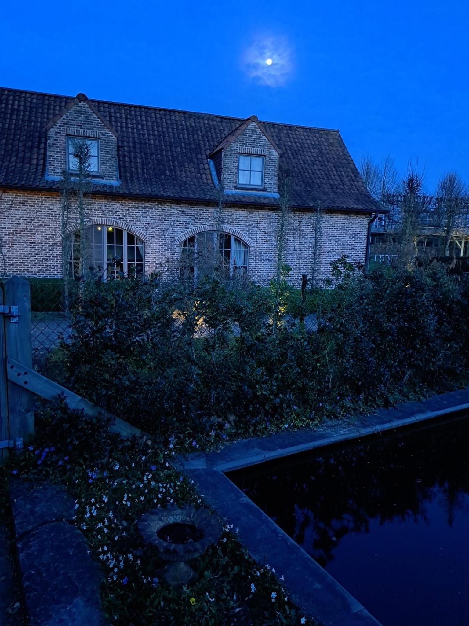 King Room with Garden View photo 2