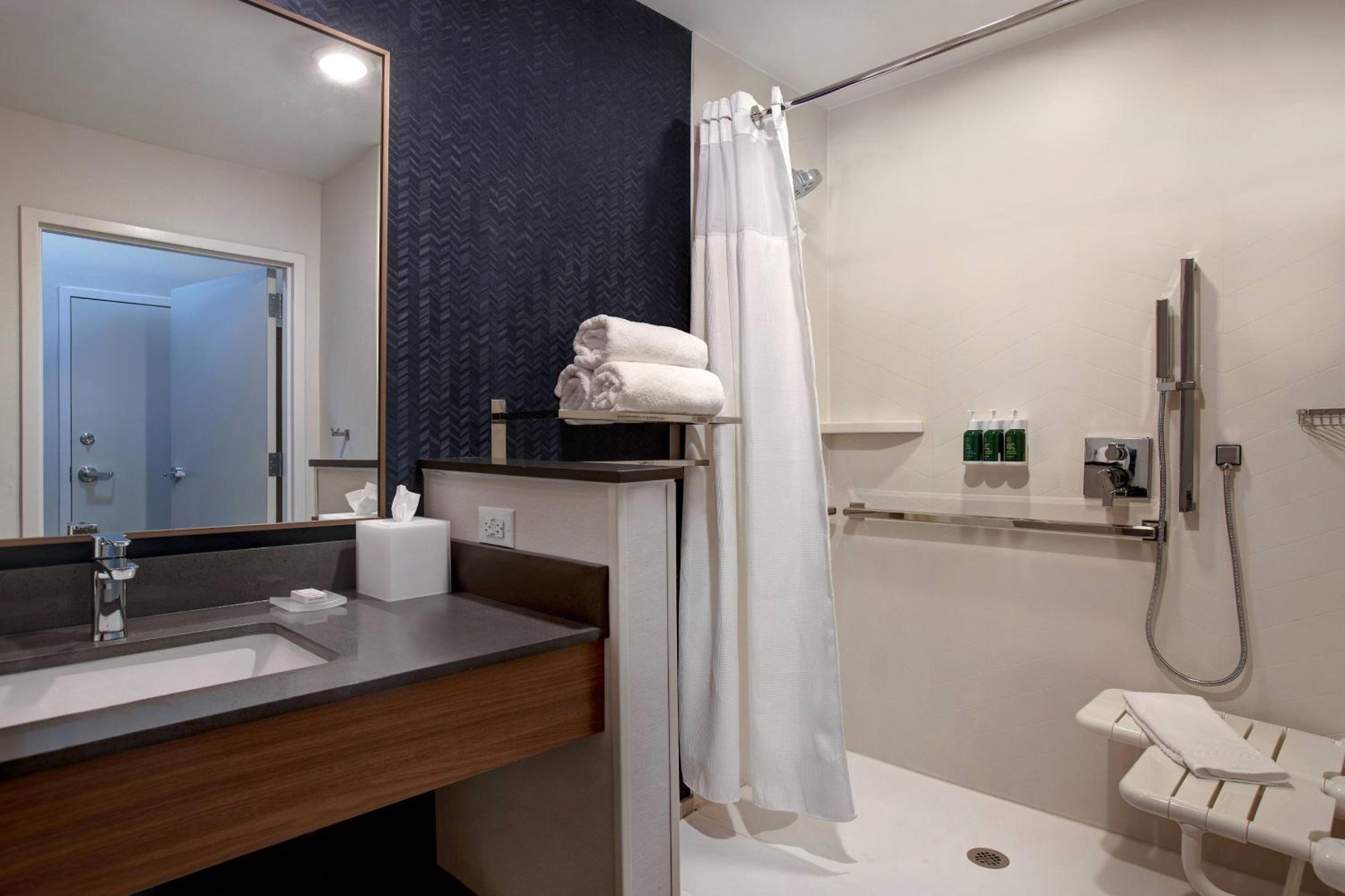 Suite, 1 King, Sofa bed - Photo 4
