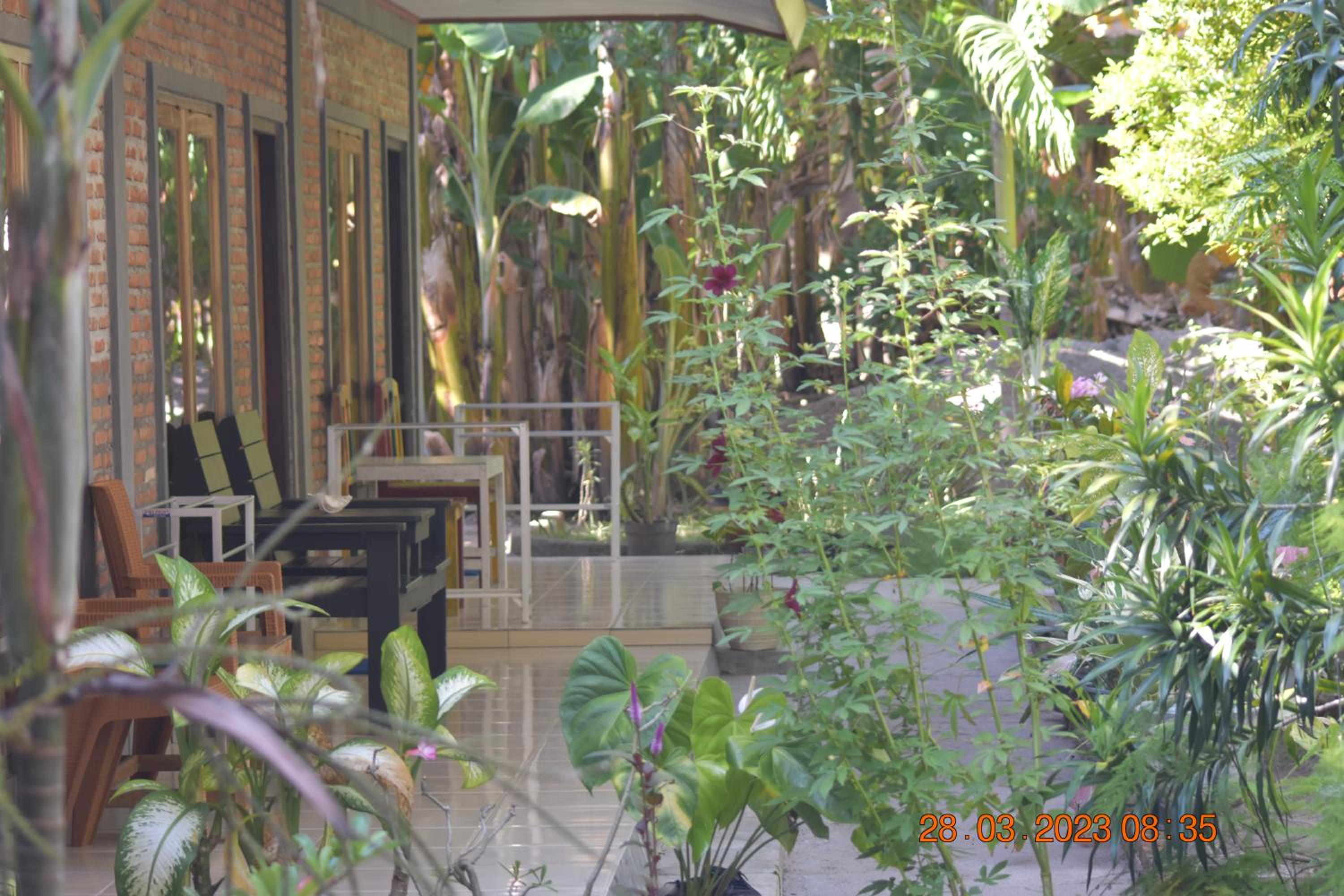 Double Or Twin Room photo 2