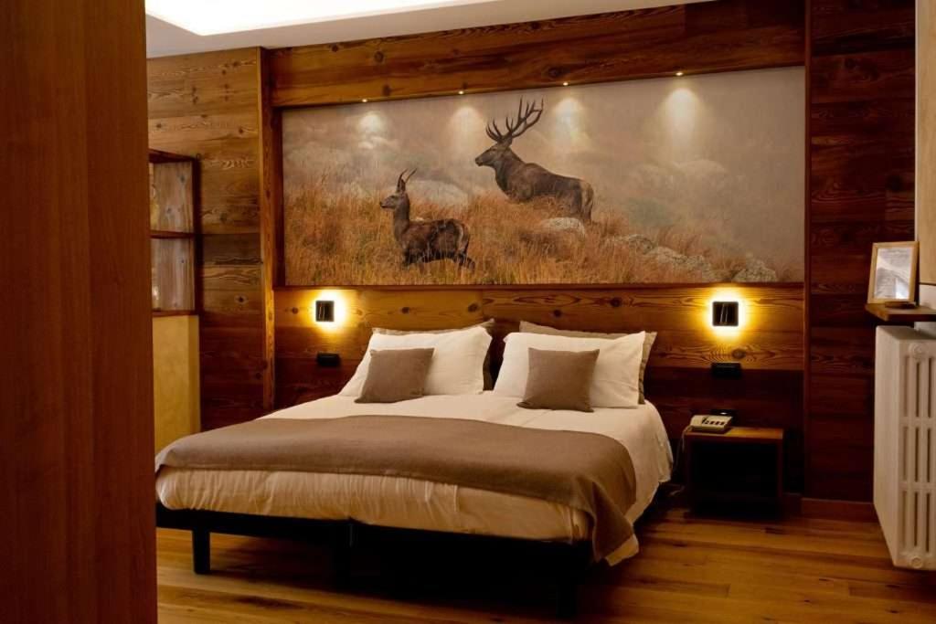 Junior Suite photo 1