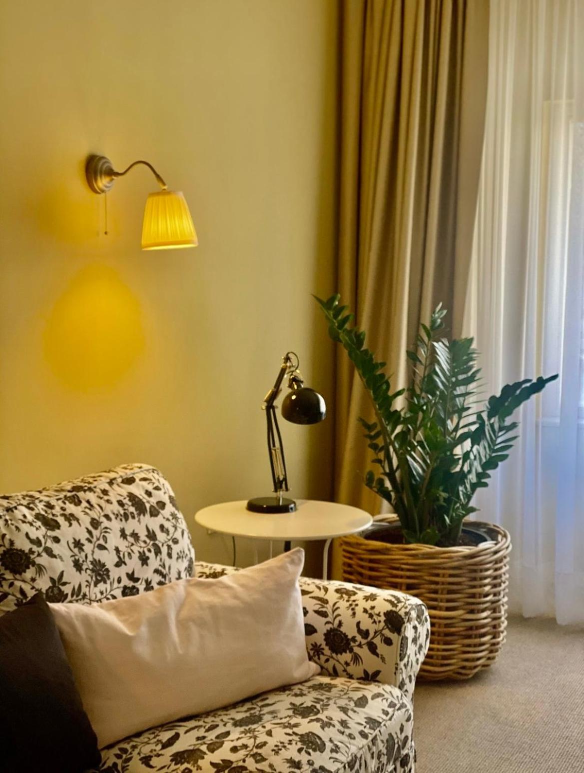 Suite - Photo 3