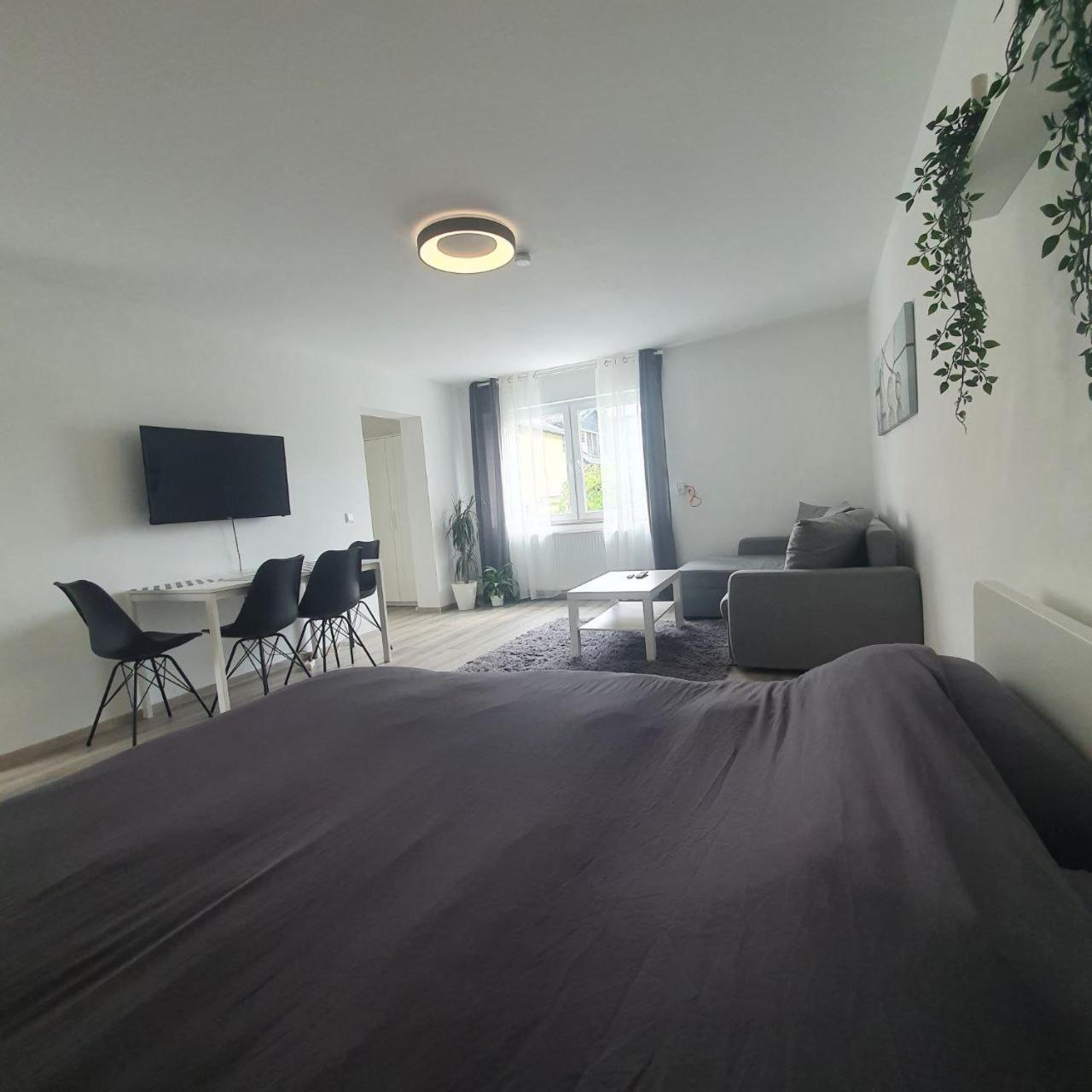 Studio Apartment - Photo 10