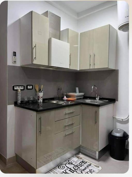 One-Bedroom Apartment photo 3