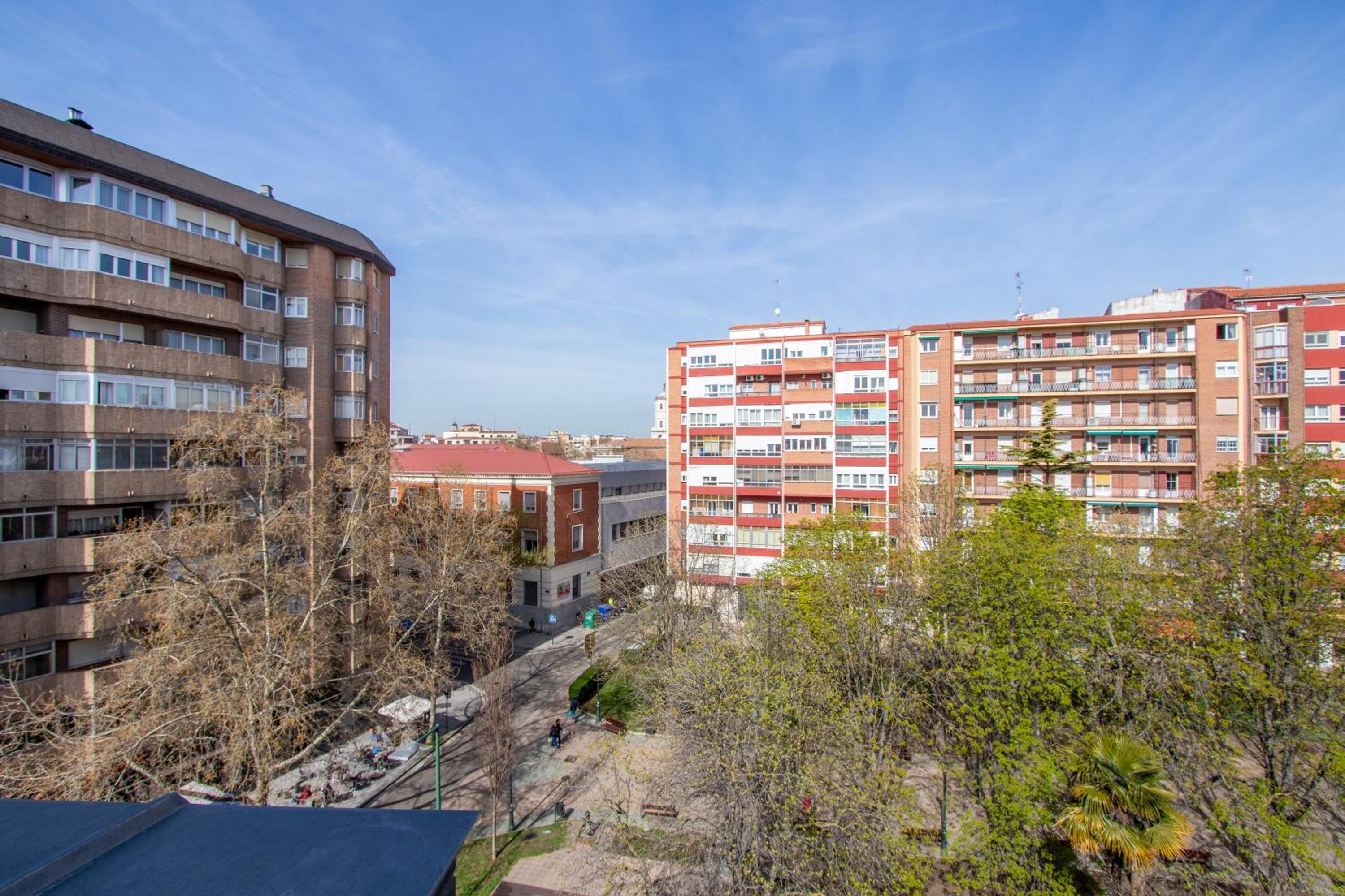 Apartment with Terrace photo 3