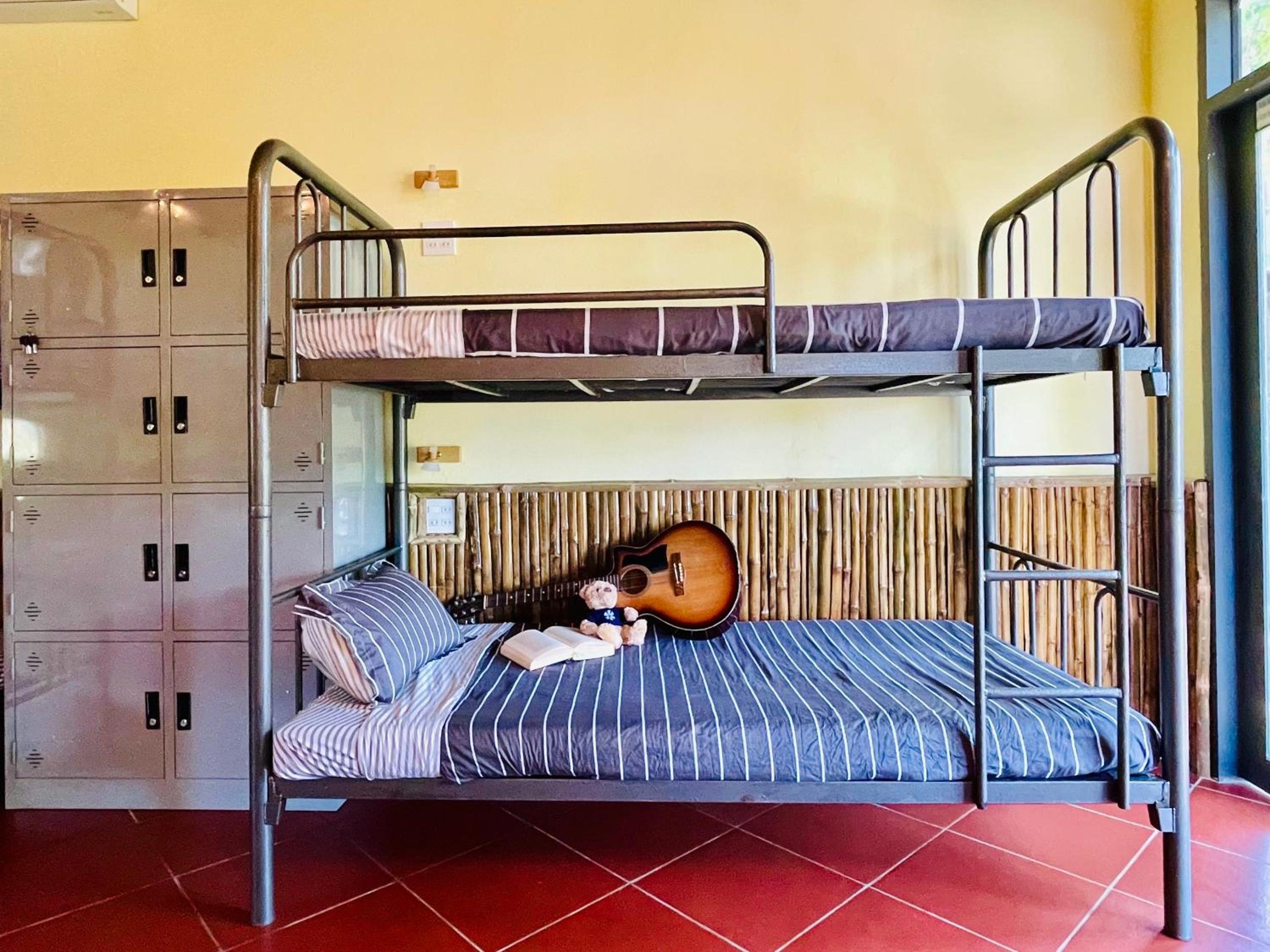 Bunk Bed in Mixed Dormitory Room photo 2