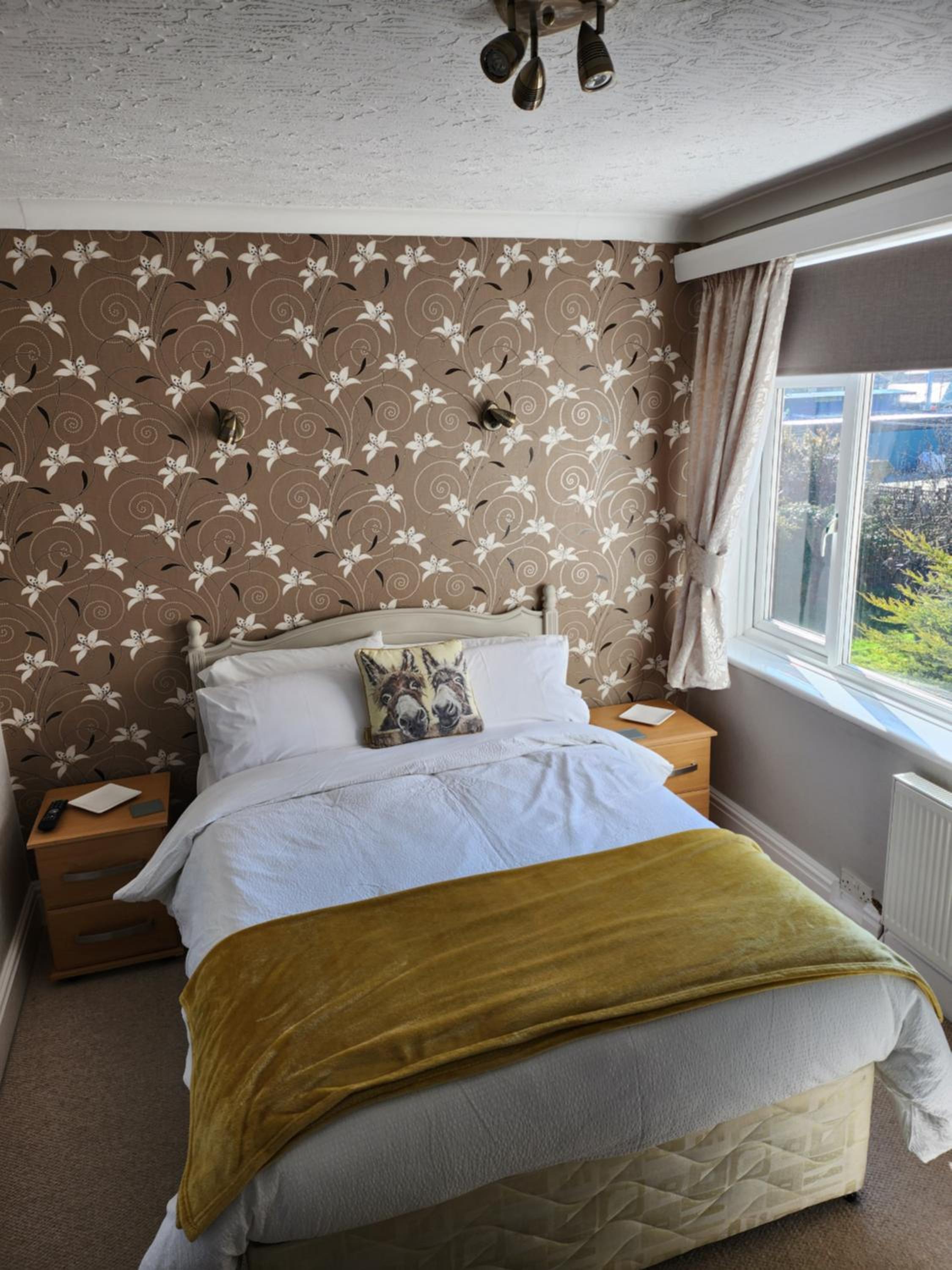 Double Room photo 2