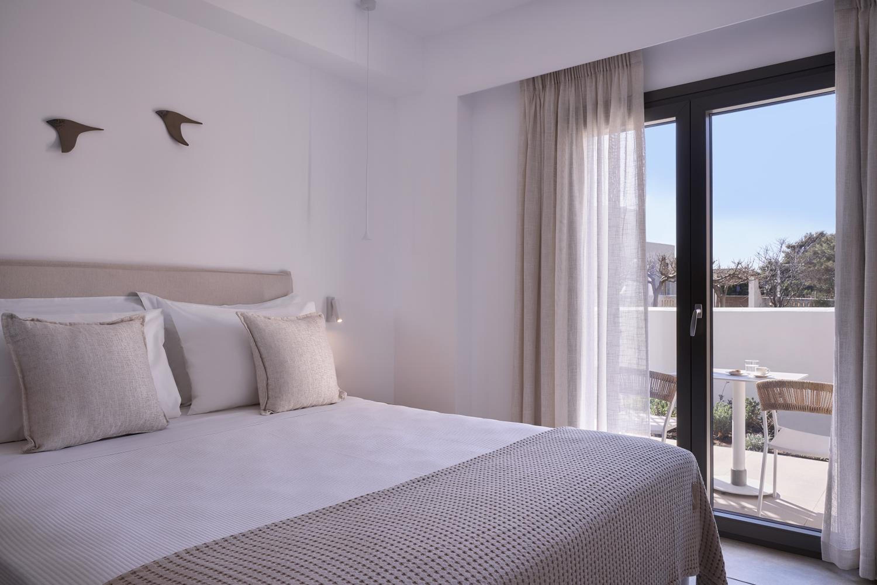 Double Room with Patio