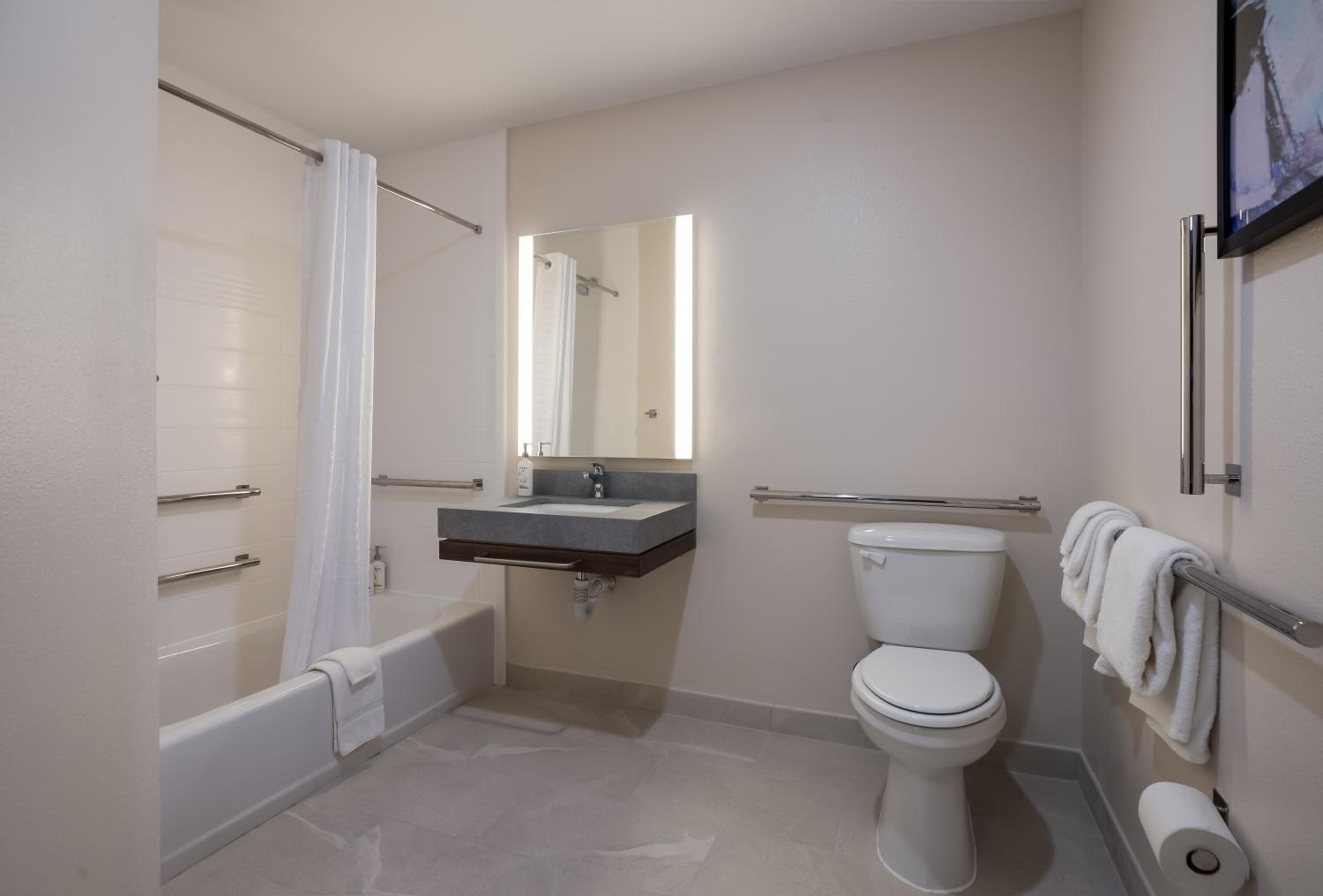 King Studio Suite with Bath Tub - Mobility Access - Photo 3