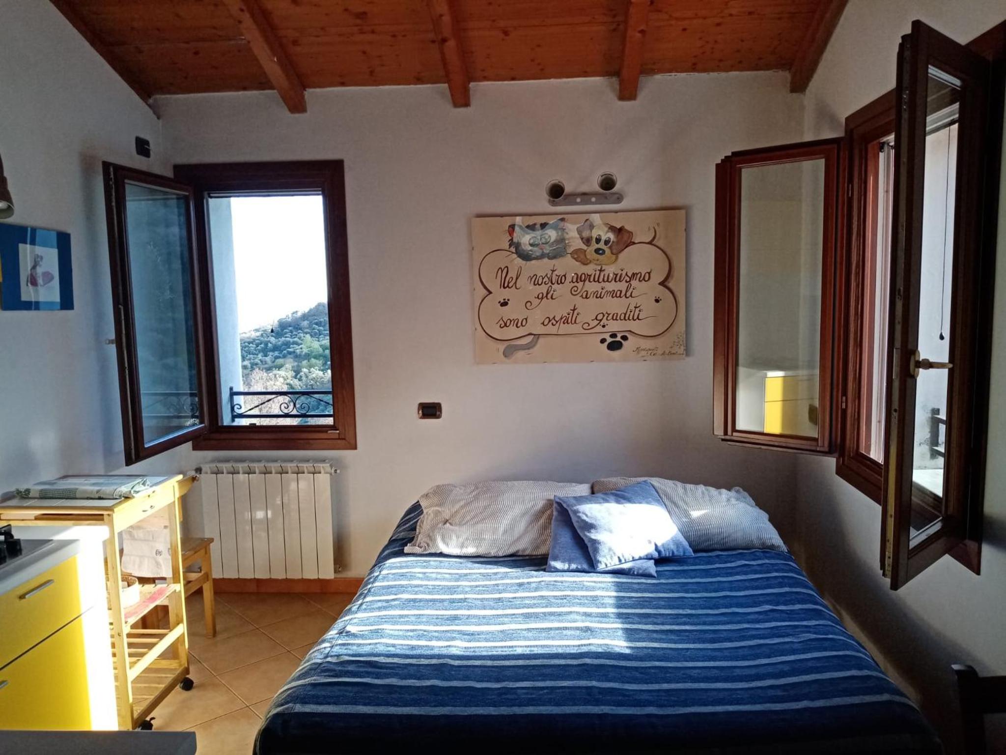 Studio with Garden View photo 1