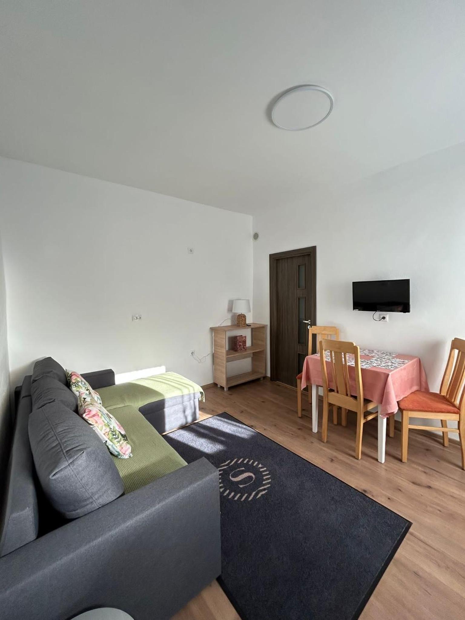 Apartment with Terrace photo 3
