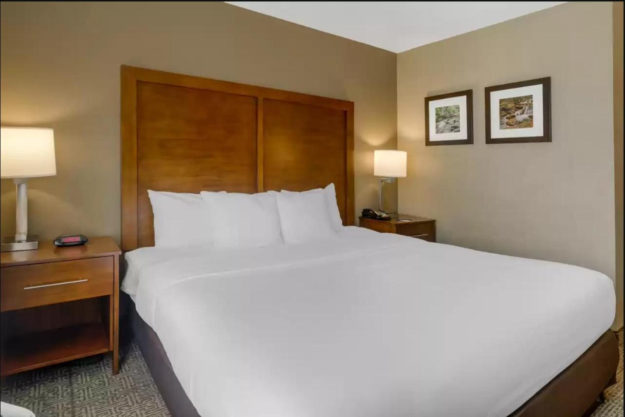 King Room - Non-Smoking - Photo 1