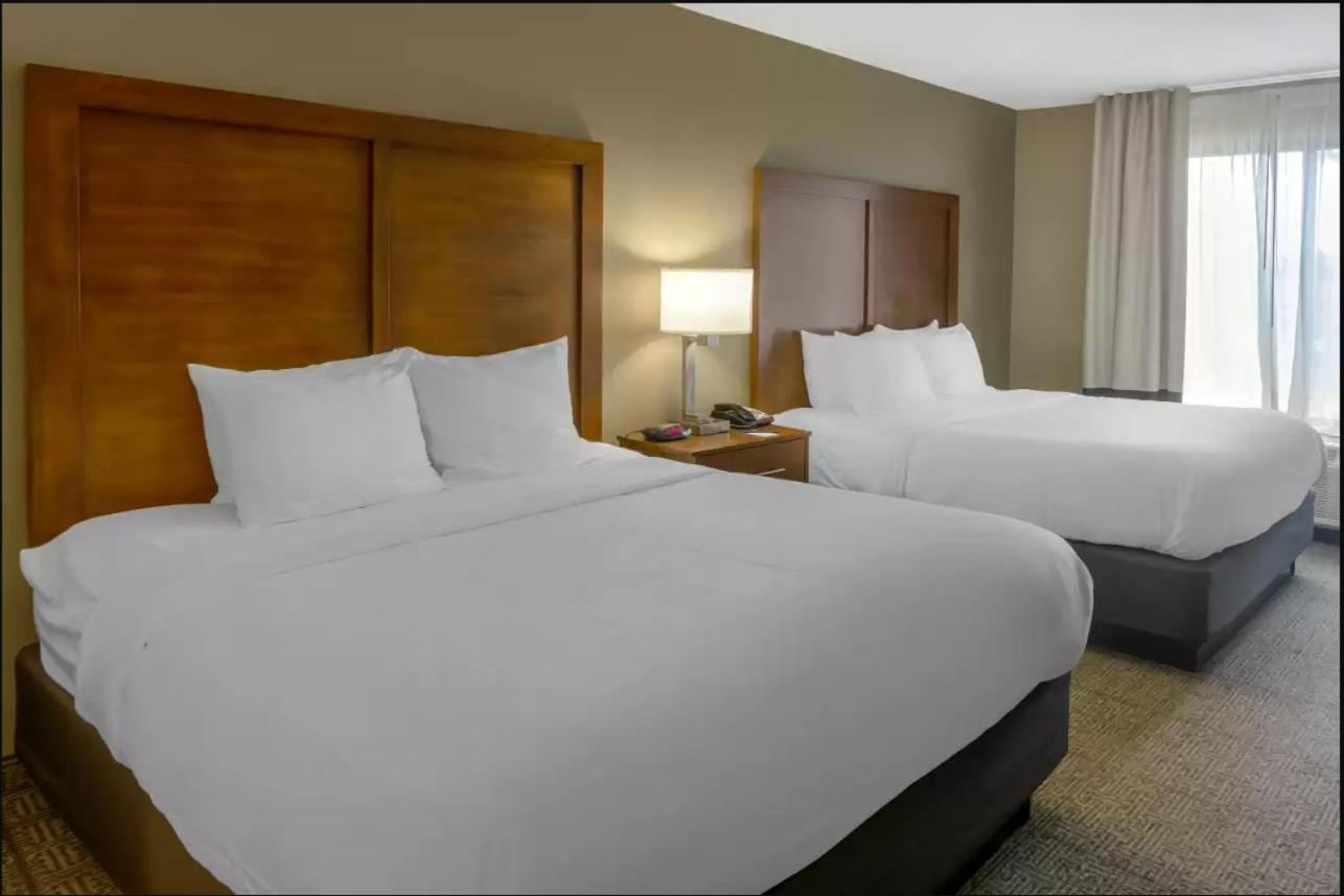 Queen Room with Two Queen Beds - Non-Smoking - Photo 5