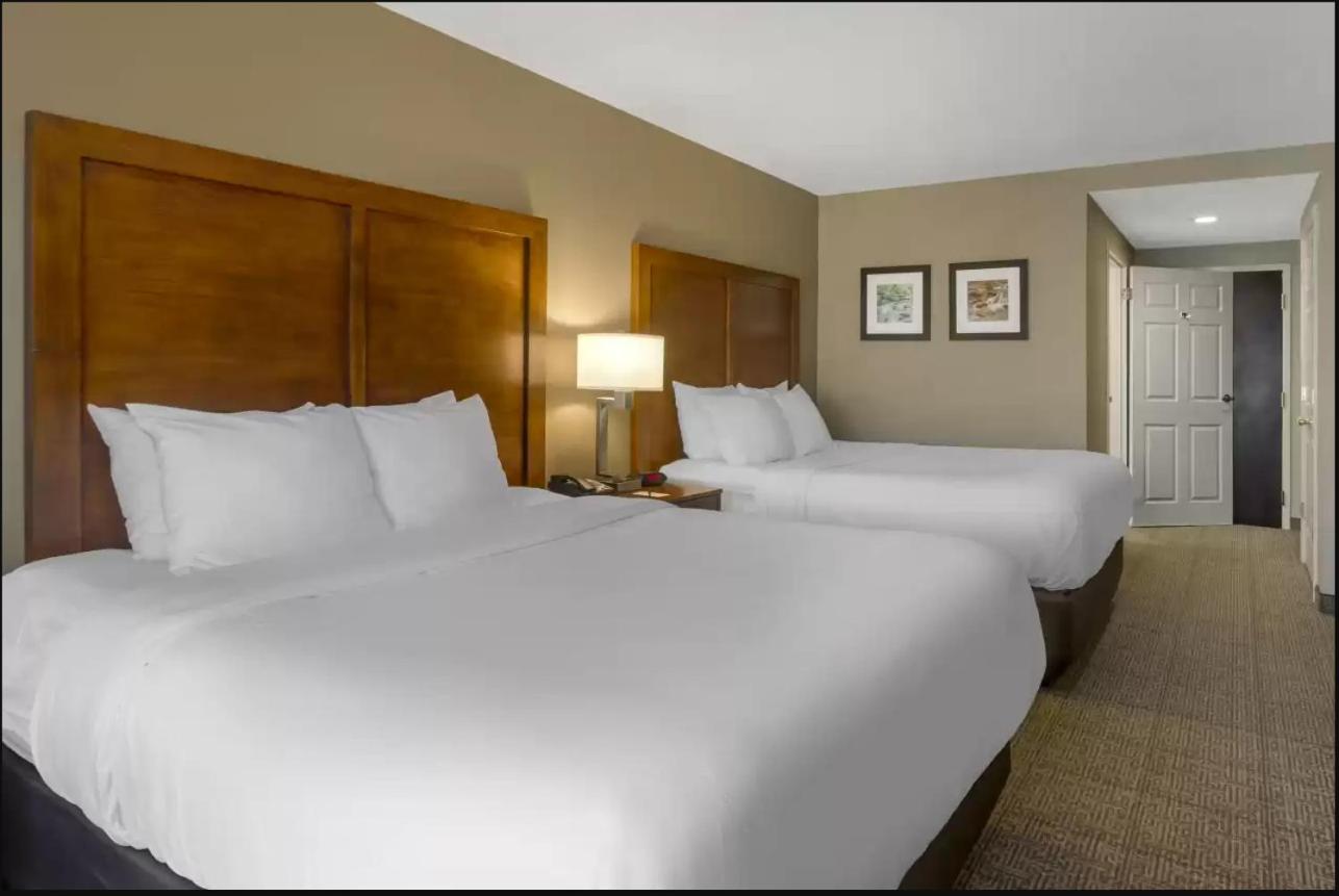 Queen Room with Two Queen Beds - Accessible/Non-Smoking  - Photo 3