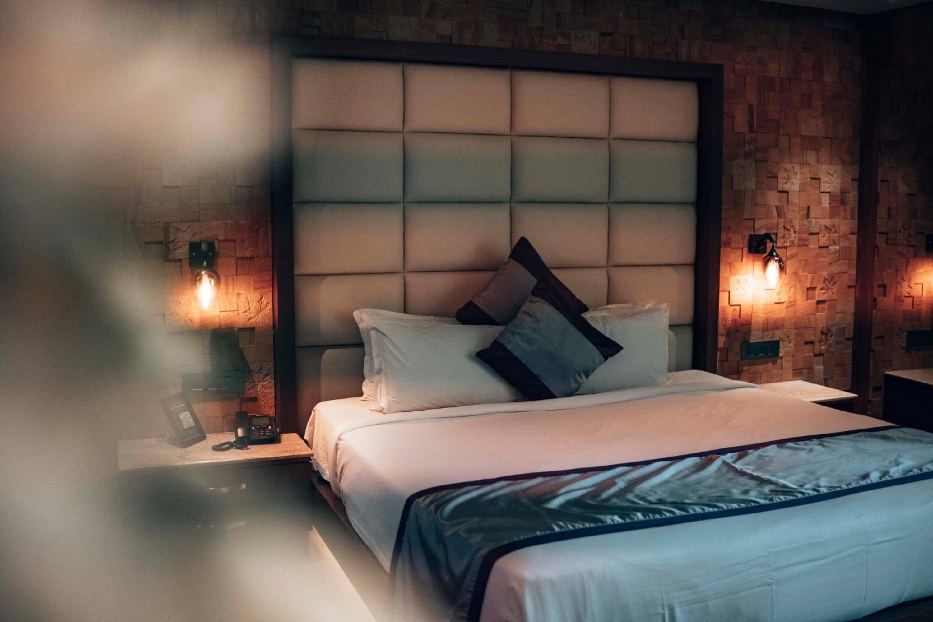 One-Bedroom Suite - Photo 8