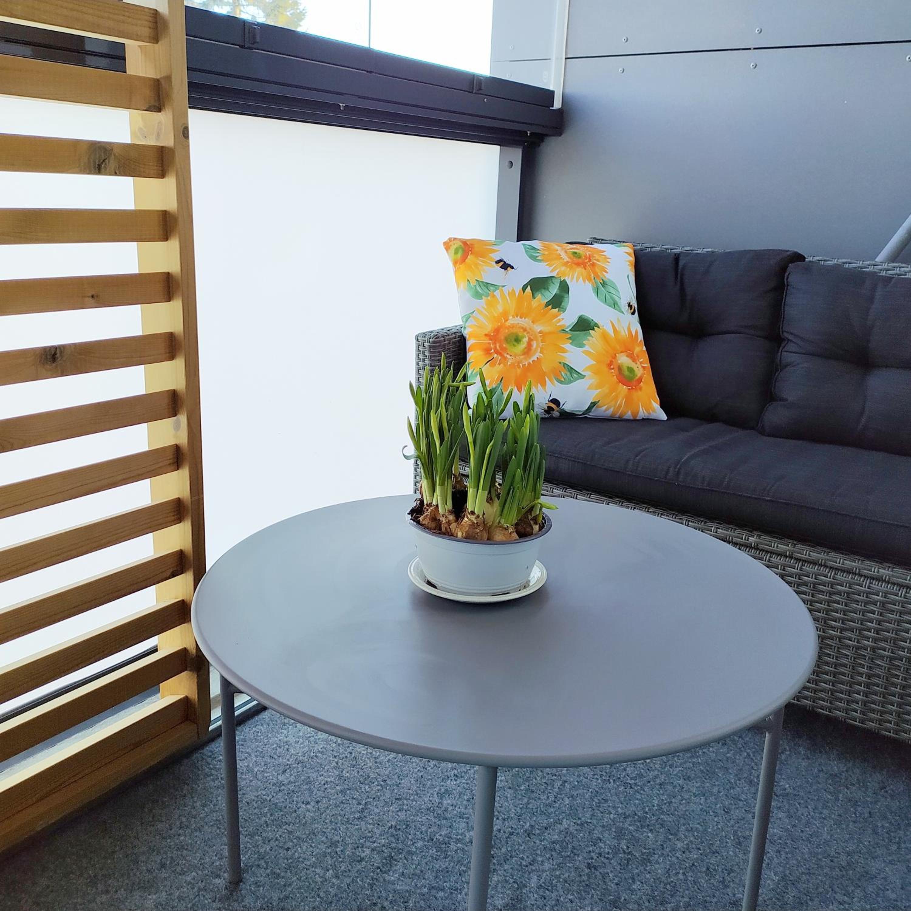 Studio with Balcony photo 2