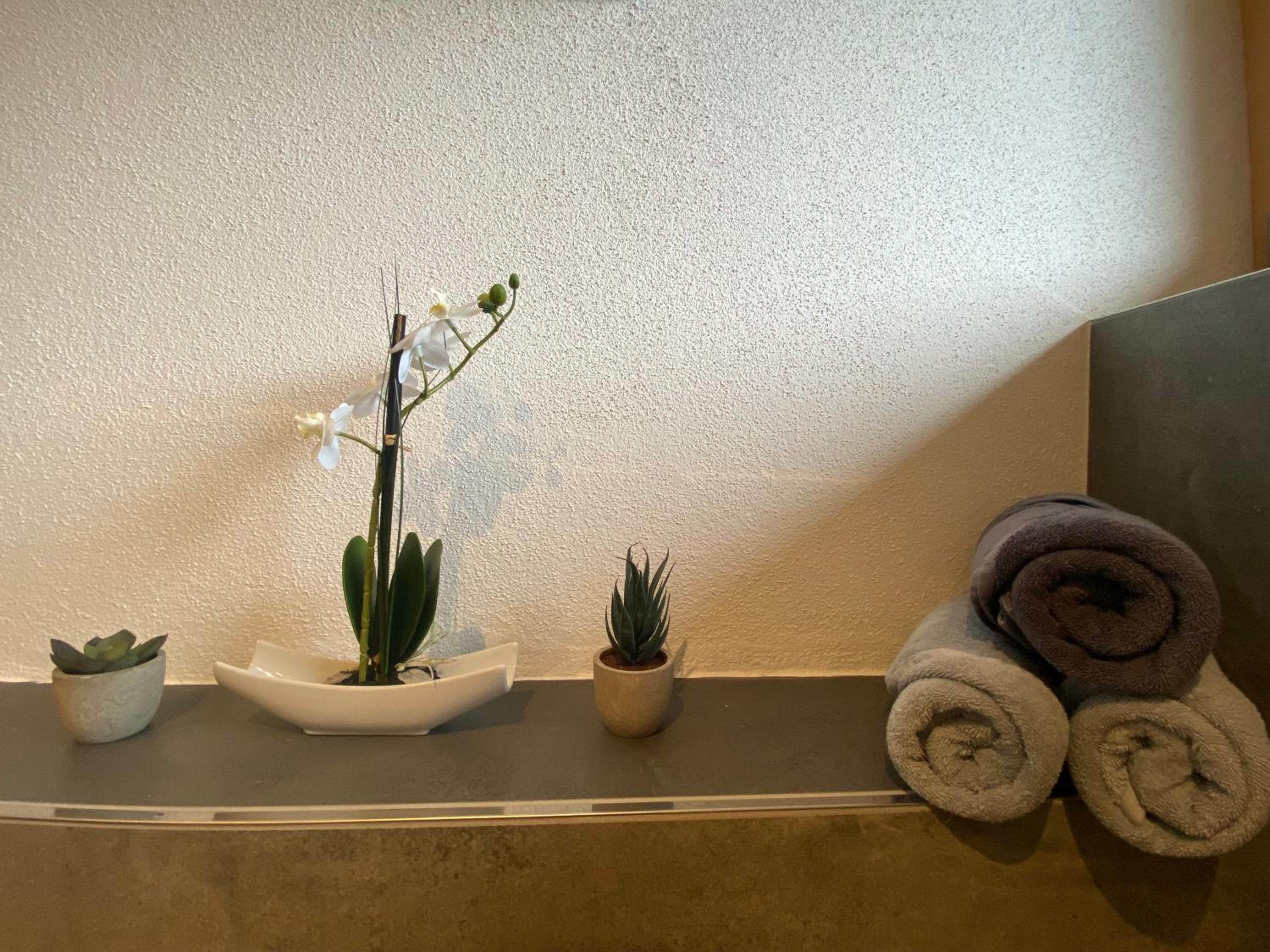Apartment with Shower photo 3