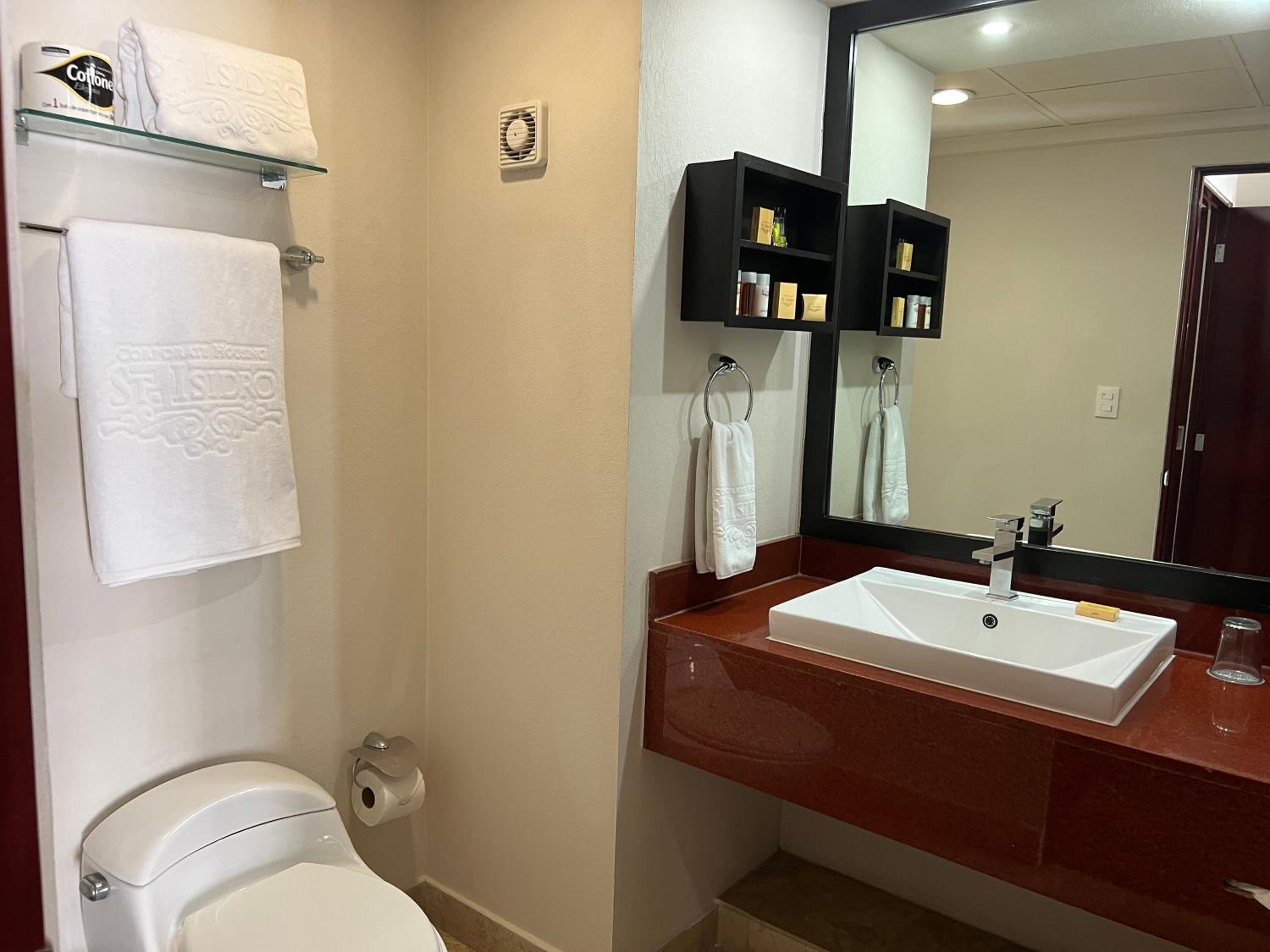 Executive One-Bedroom Apartment - Photo 10