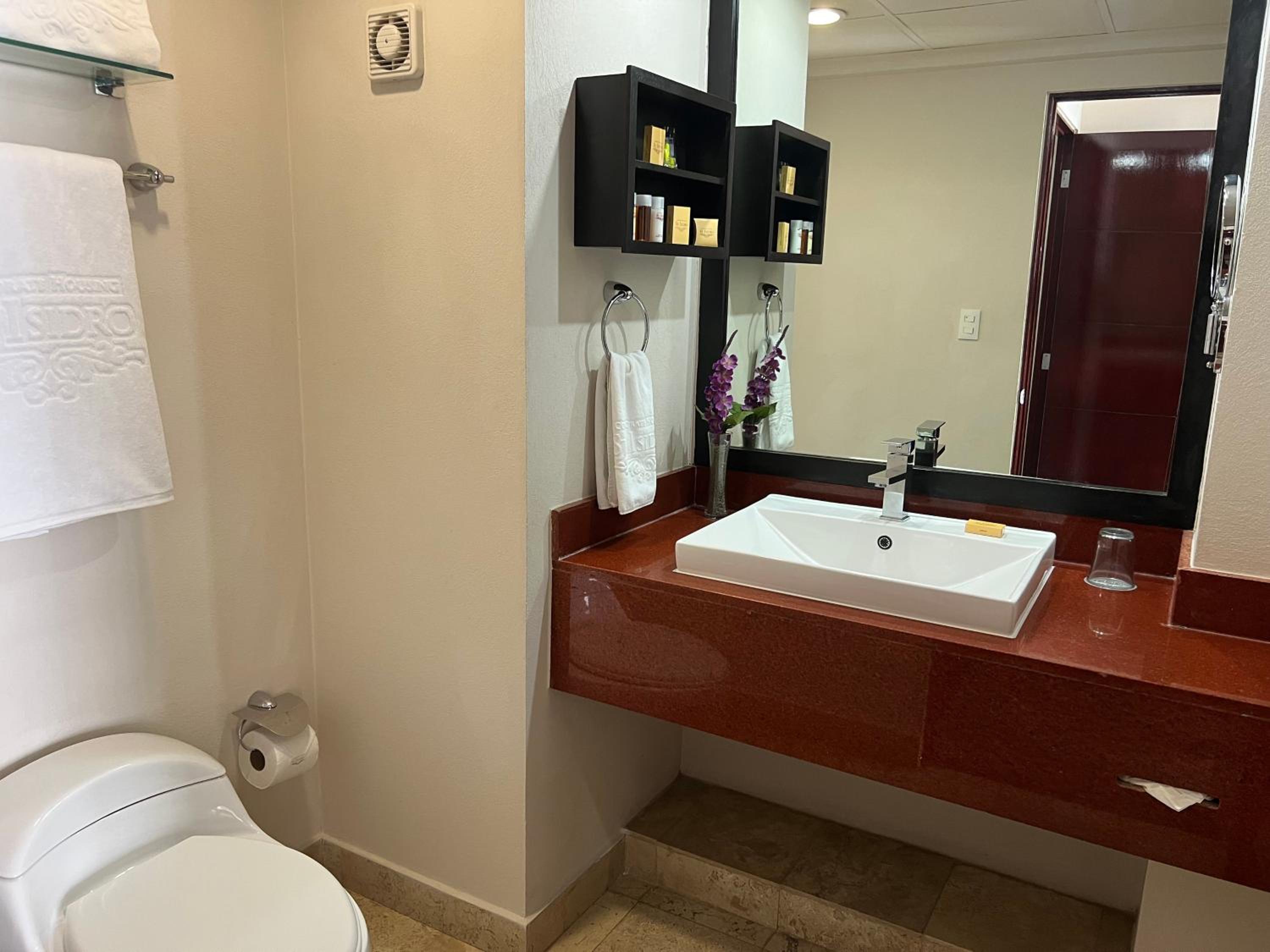 Executive One-Bedroom Apartment - Photo 11