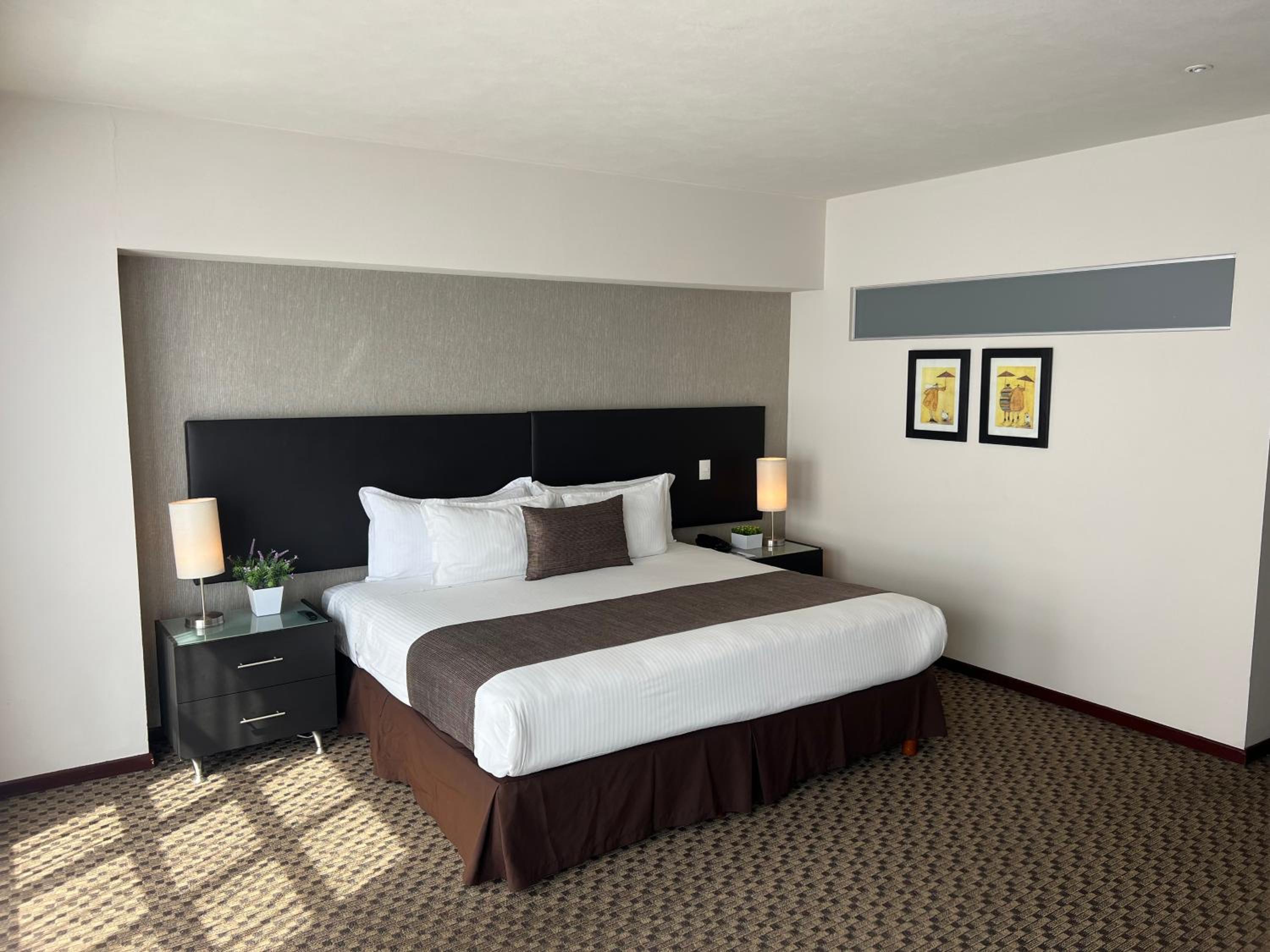 Executive One-Bedroom Apartment - Photo 4